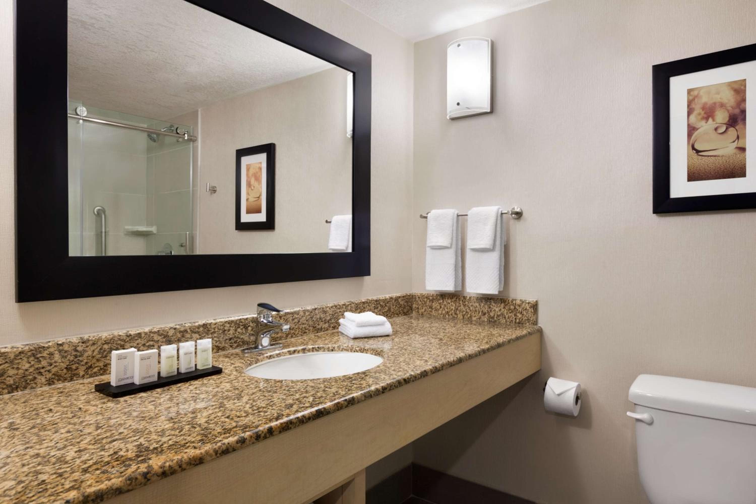 Embassy Suites by Hilton Convention Center Las Vegas — 16