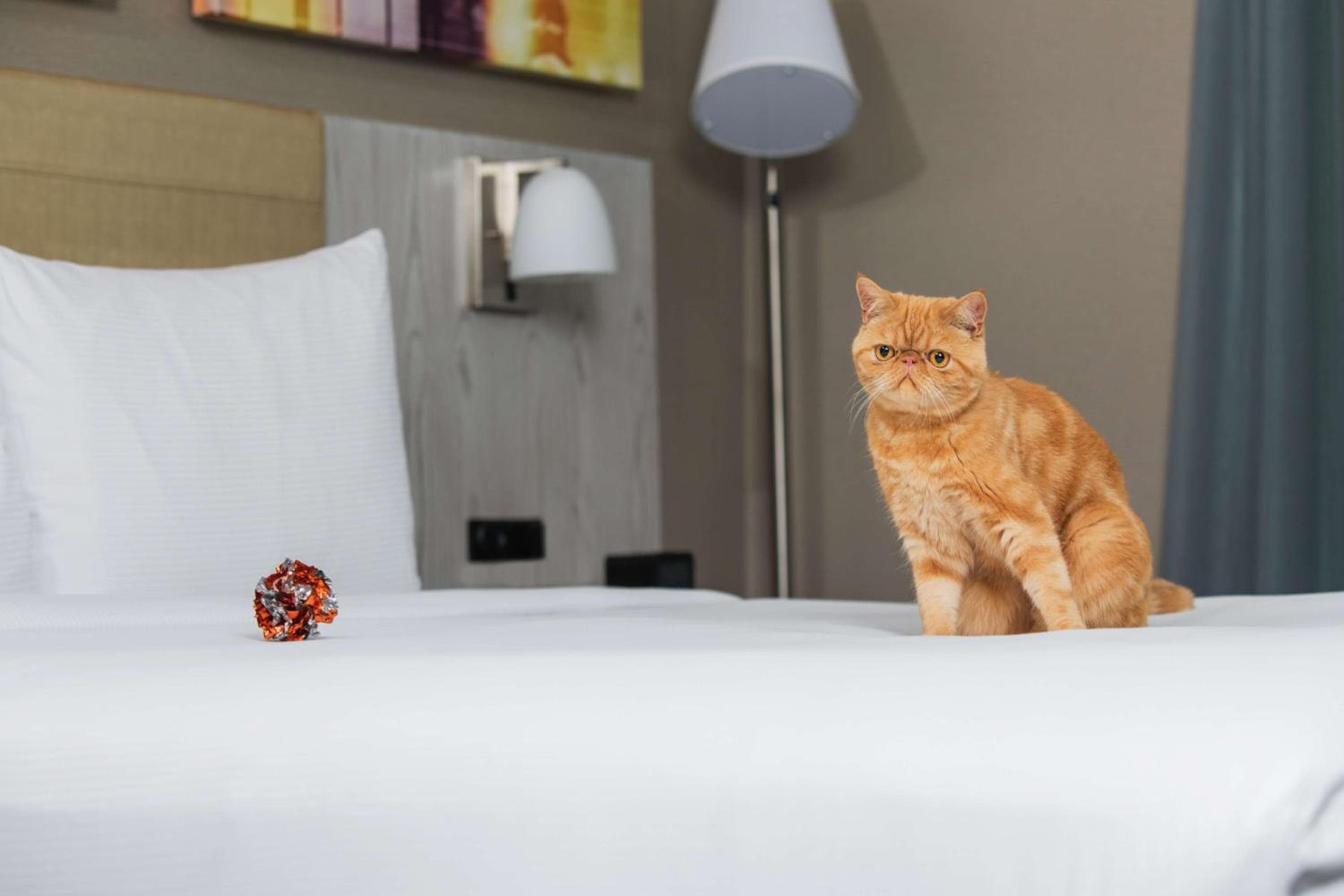 Doubletree By Hilton Nueva York Times Square Oeste — 13