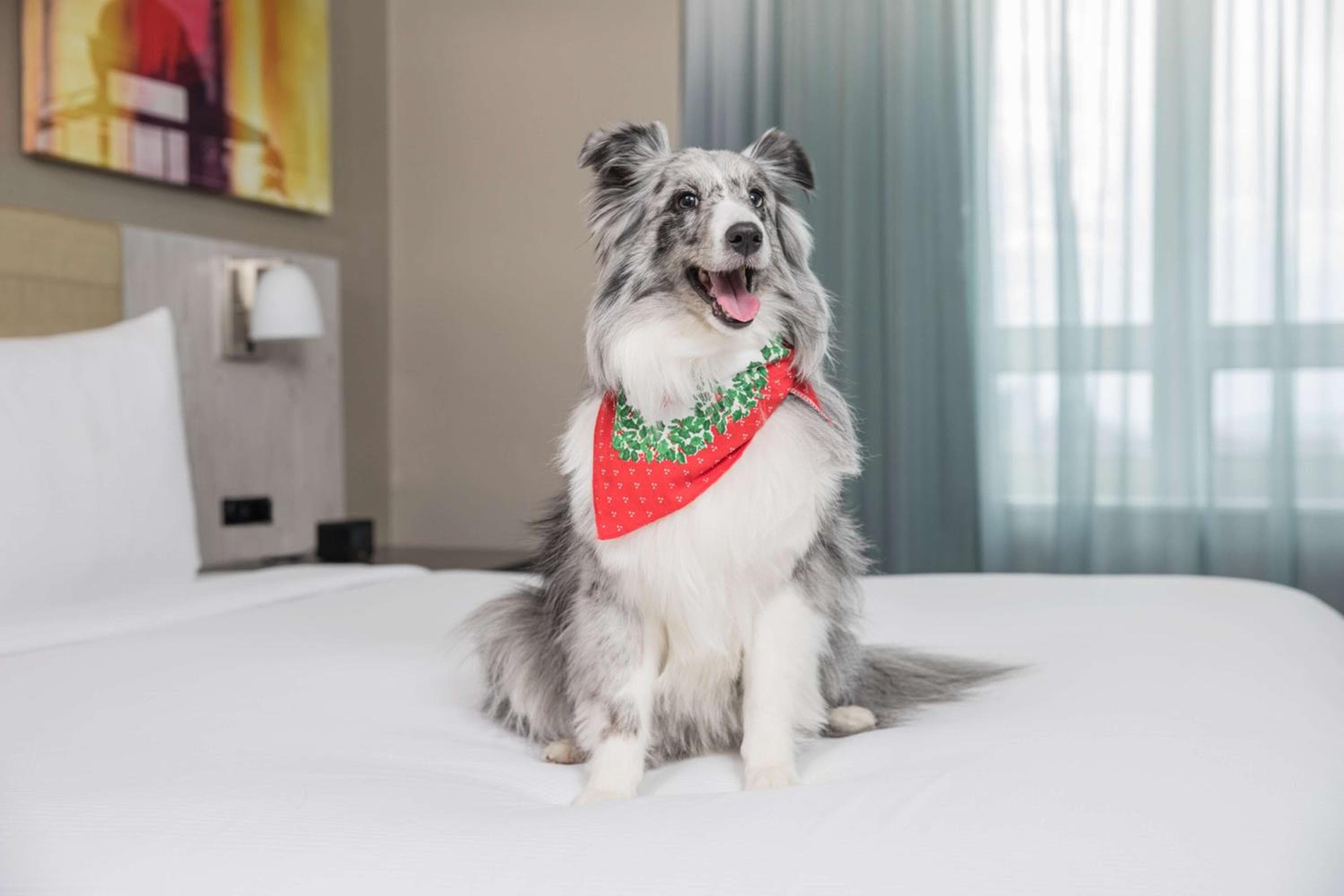 Doubletree By Hilton Nueva York Times Square Oeste — 12