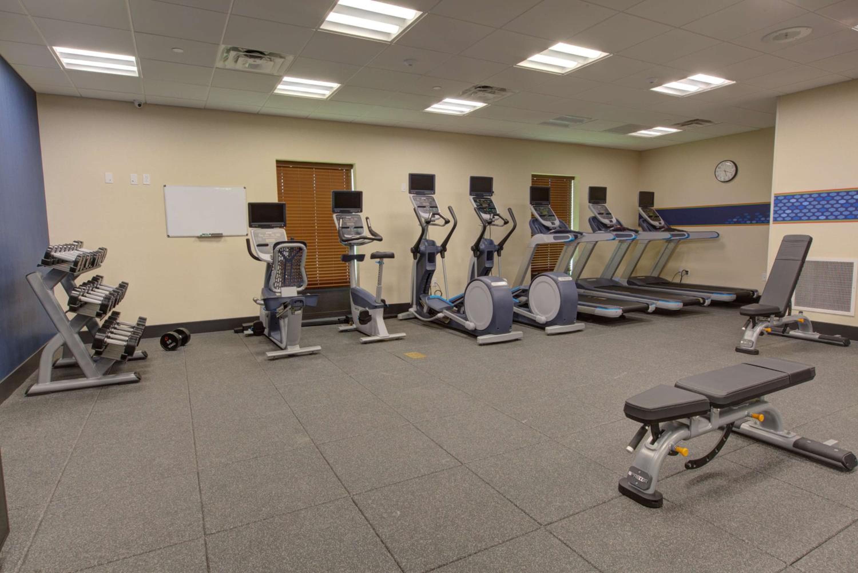 Hampton Inn & Suites by Hilton Tampa Busch Gardens Area — 11