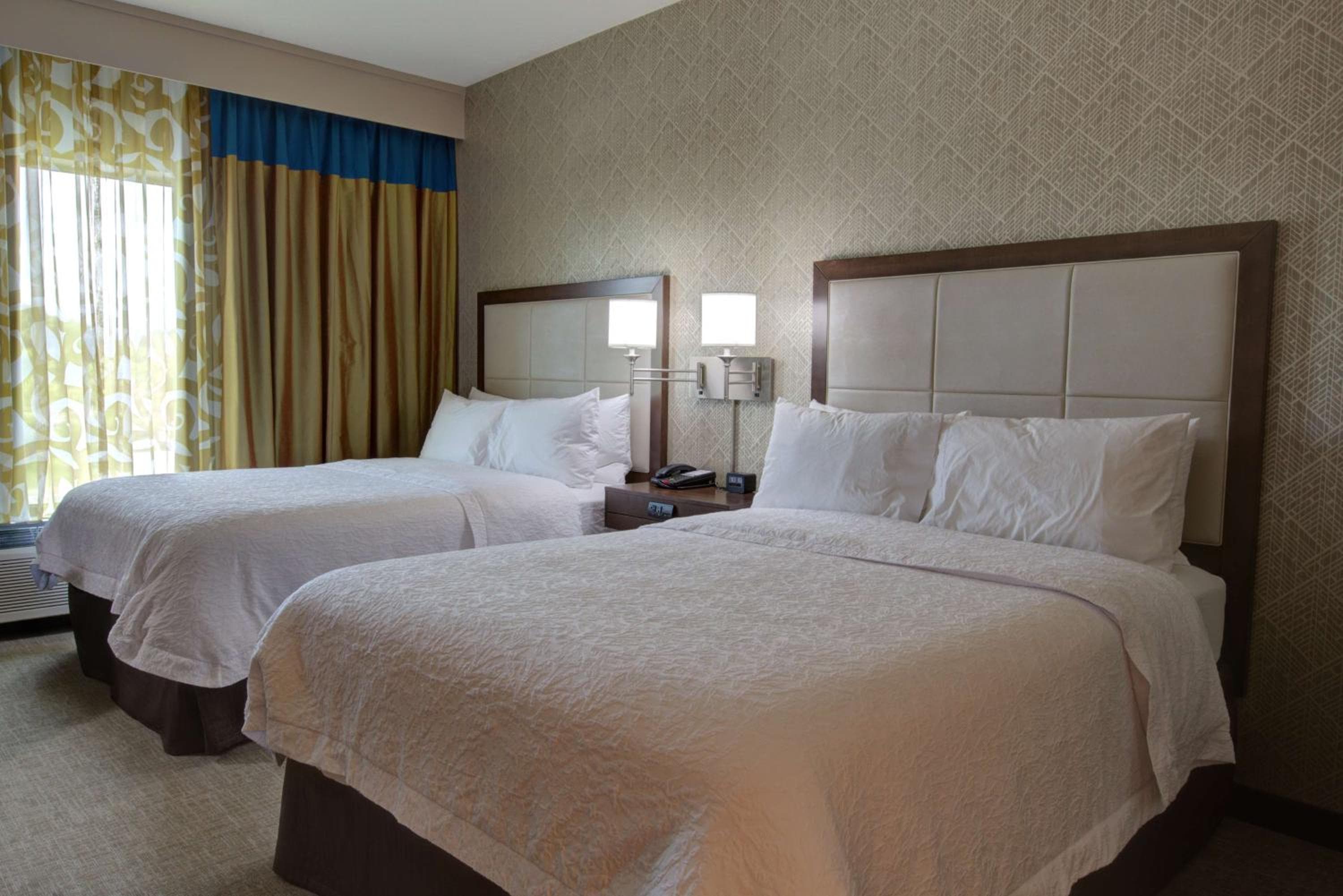 Hampton Inn & Suites by Hilton Tampa Busch Gardens Area — 14