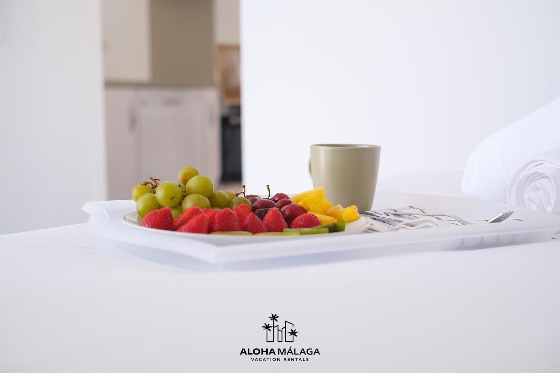 ALAIA PLAYA GRAN TERRAZA by AlohaMalaga — 18