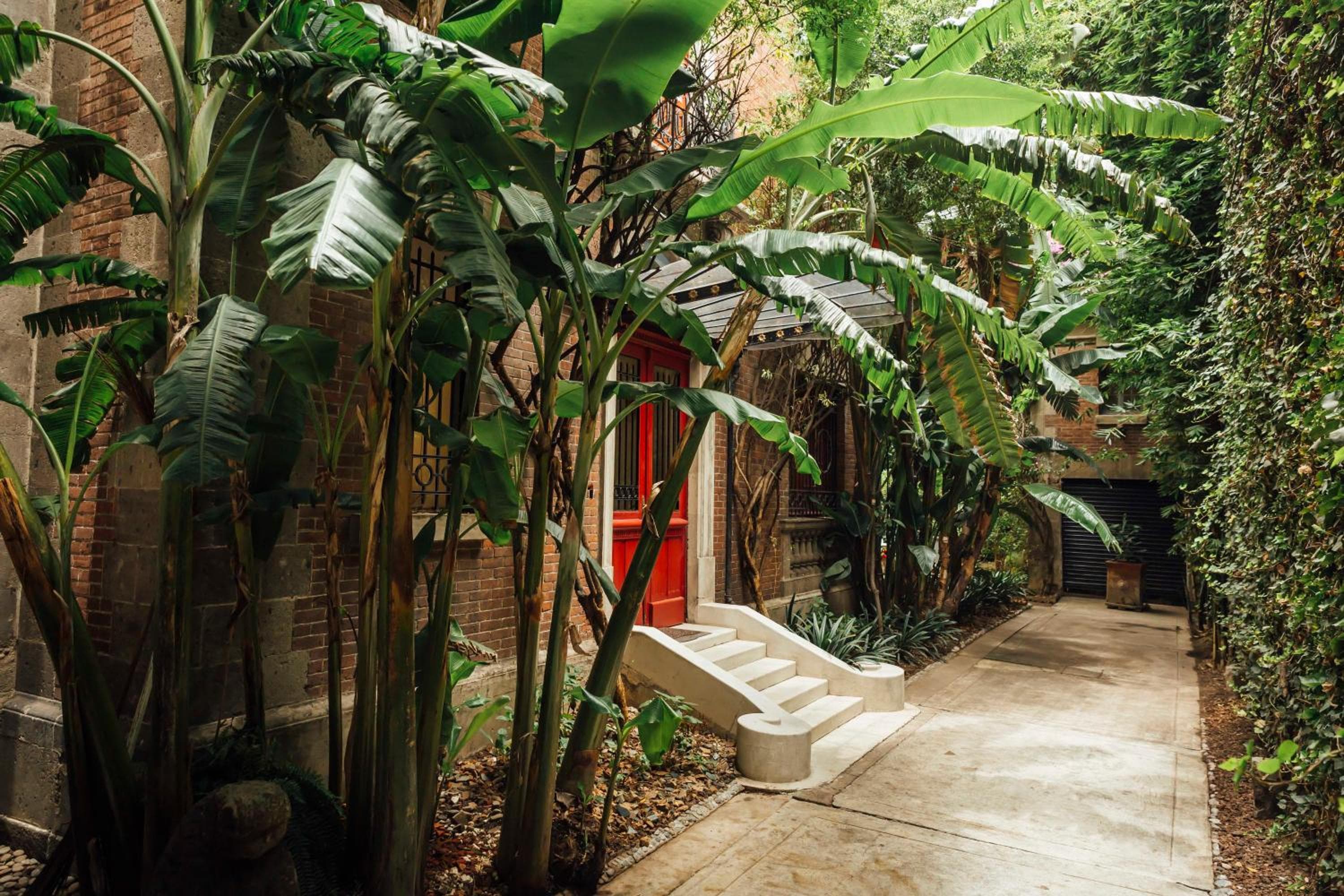 Maison du comte — 30