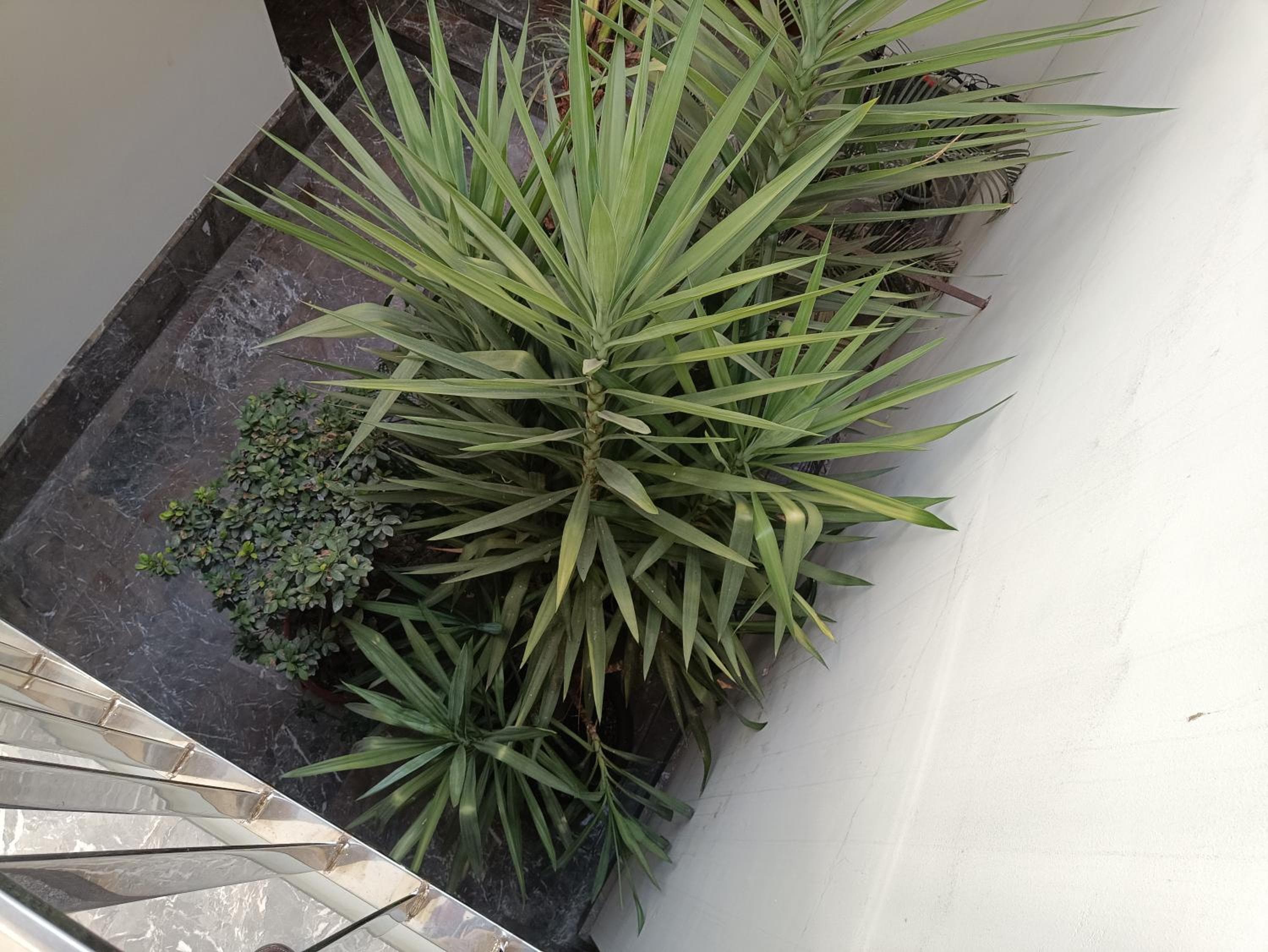 Apartamentos Luxury Puente de Triana — 16