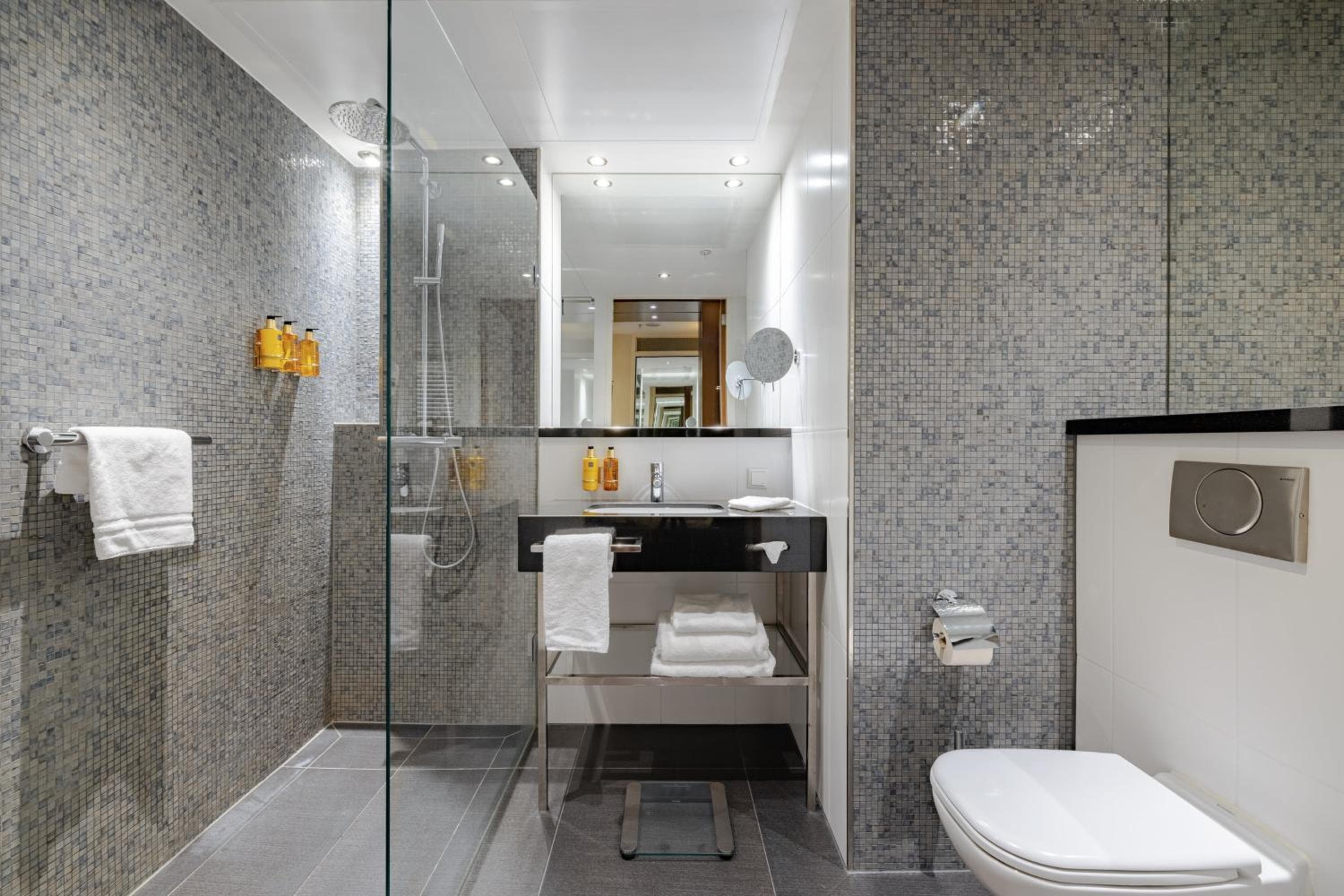 Crowne Plaza Amsterdam - South by IHG — 10