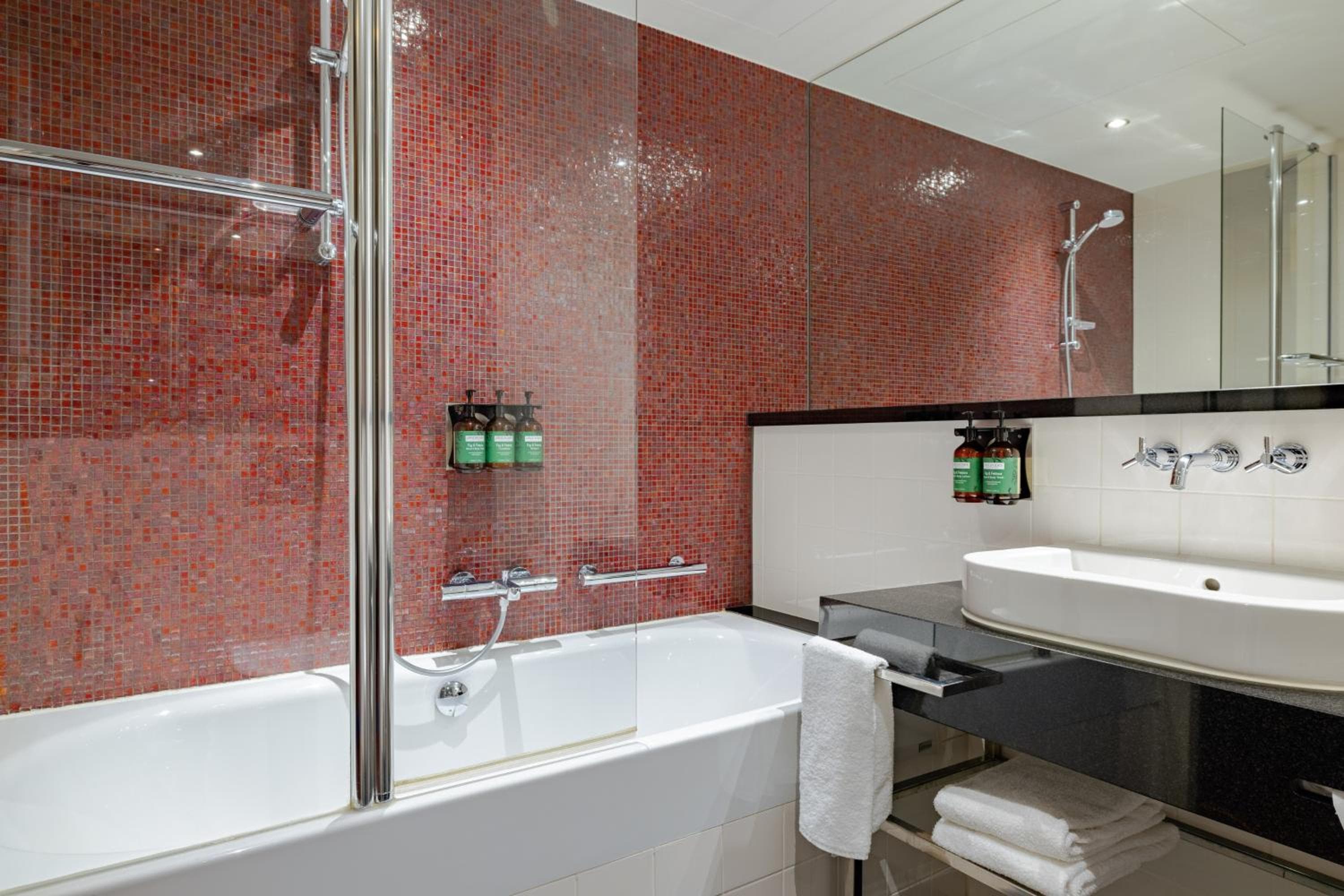 Crowne Plaza Amsterdam - South by IHG — 3