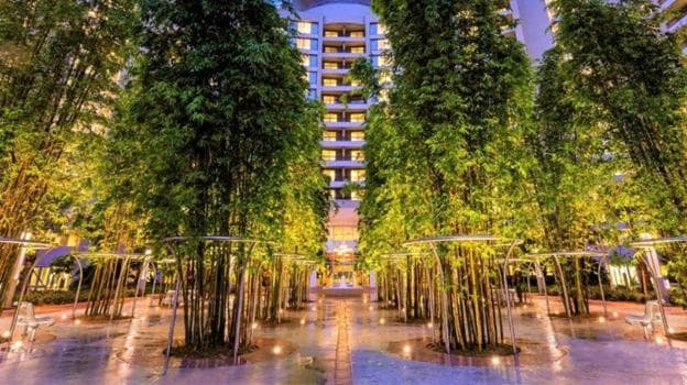 Bay Lake Tower at Disney's Contemporary Resort — 15