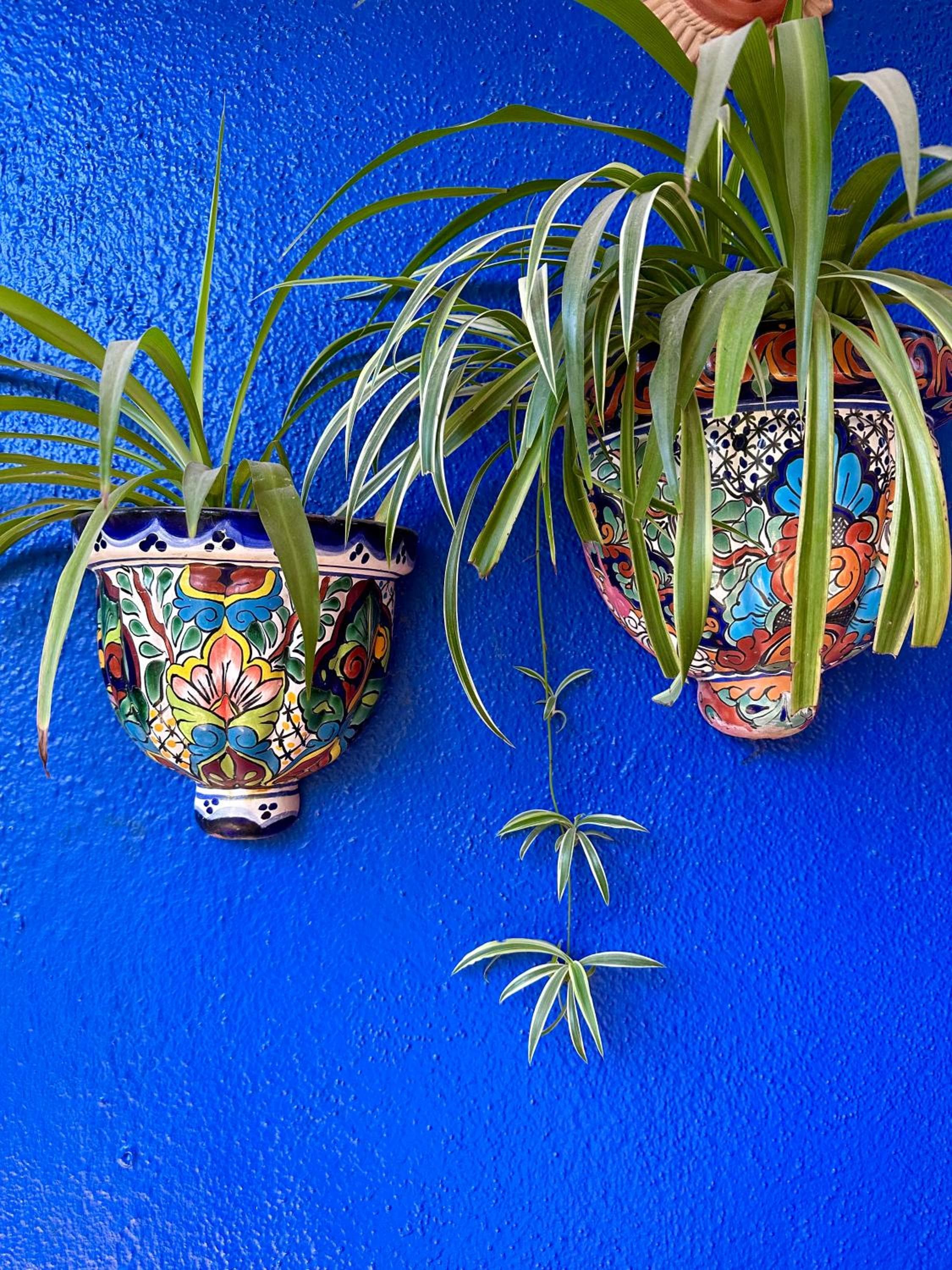 Siesta Suites Boutique Hotel — 11