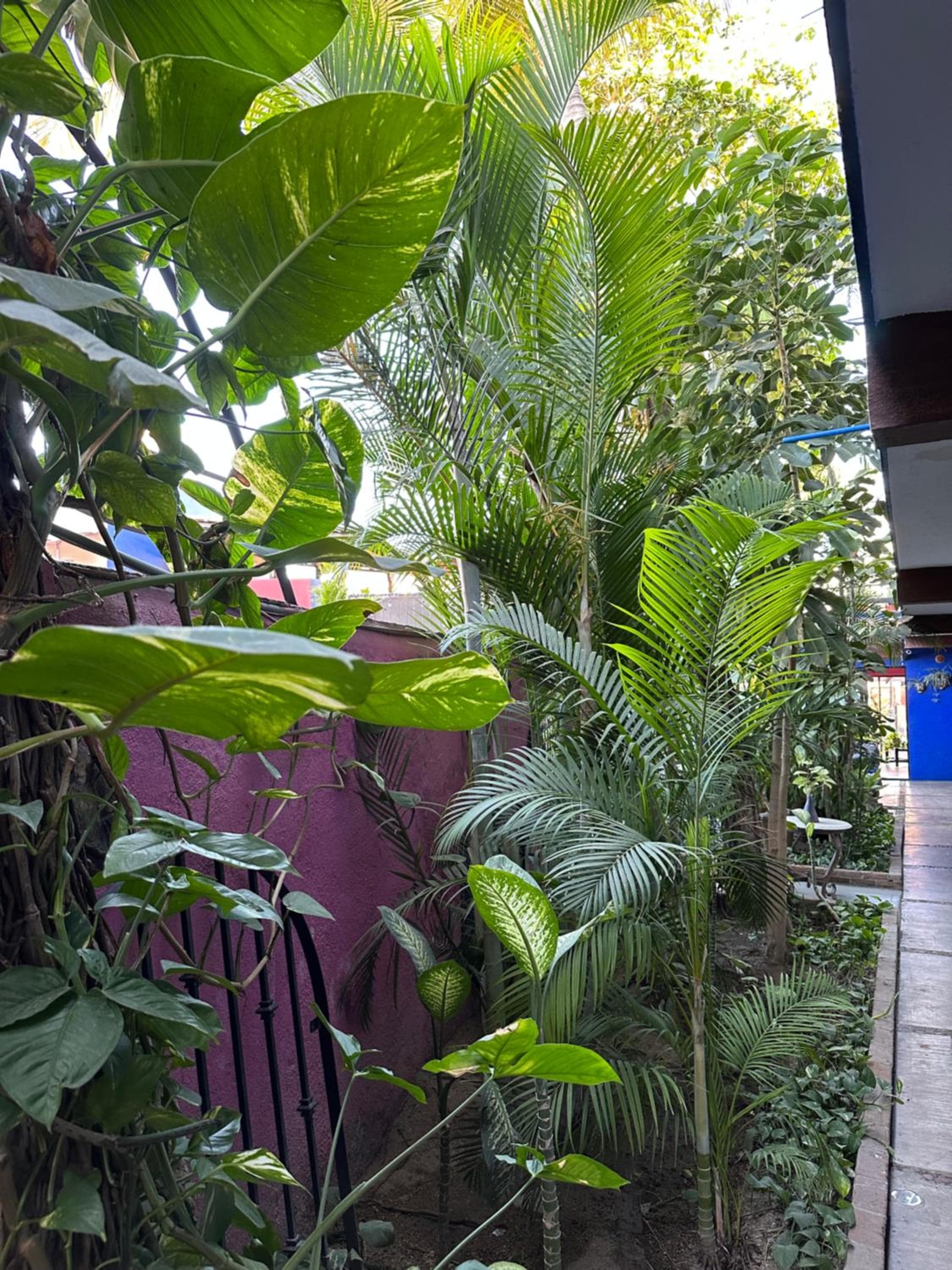 Siesta Suites Boutique Hotel — 25