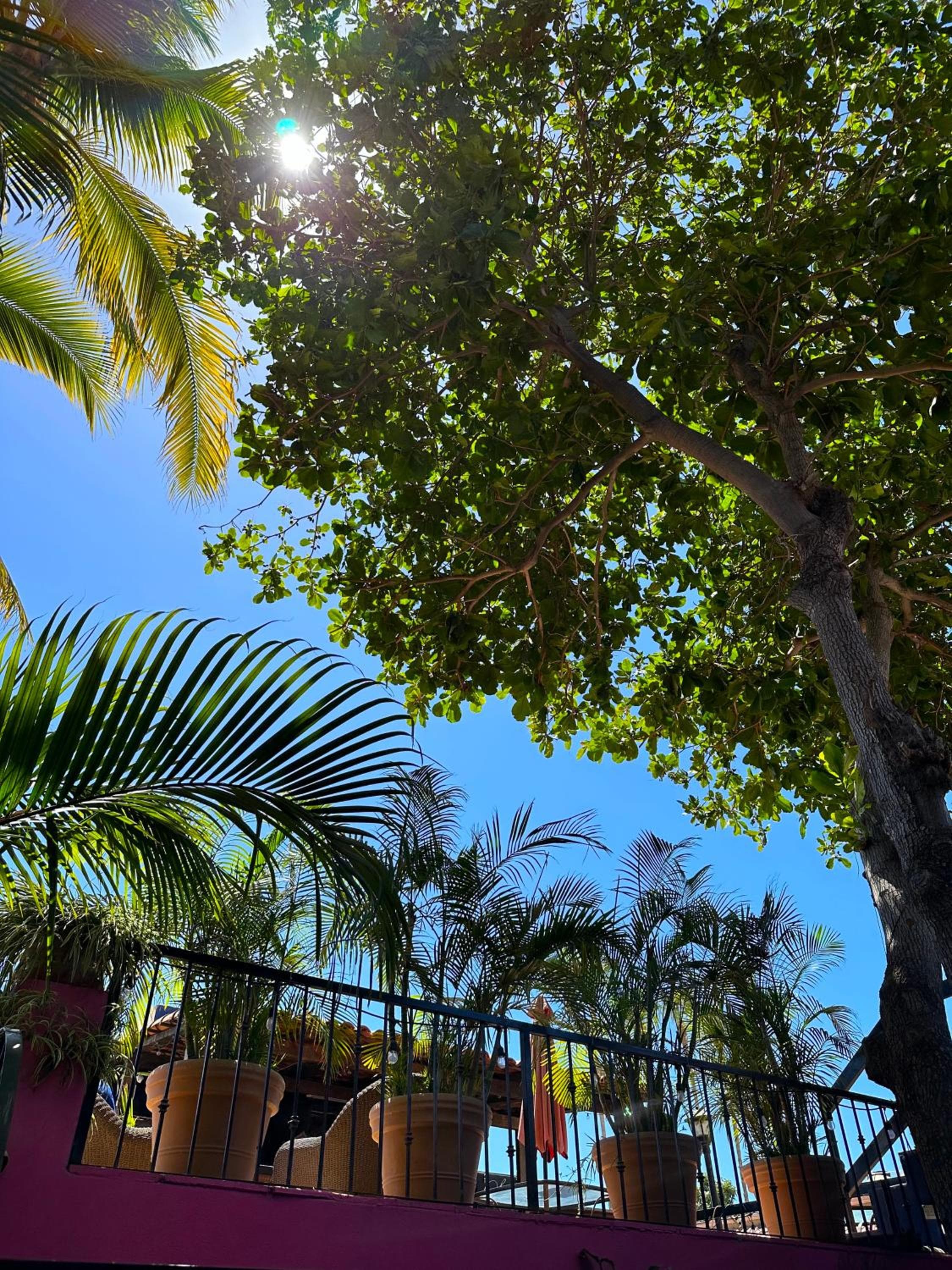 Siesta Suites Boutique Hotel — 28
