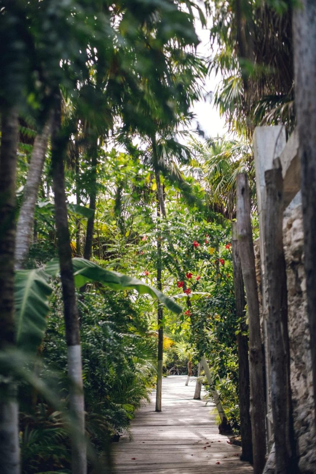 Uman Glamping & Cenote Tulum — 23