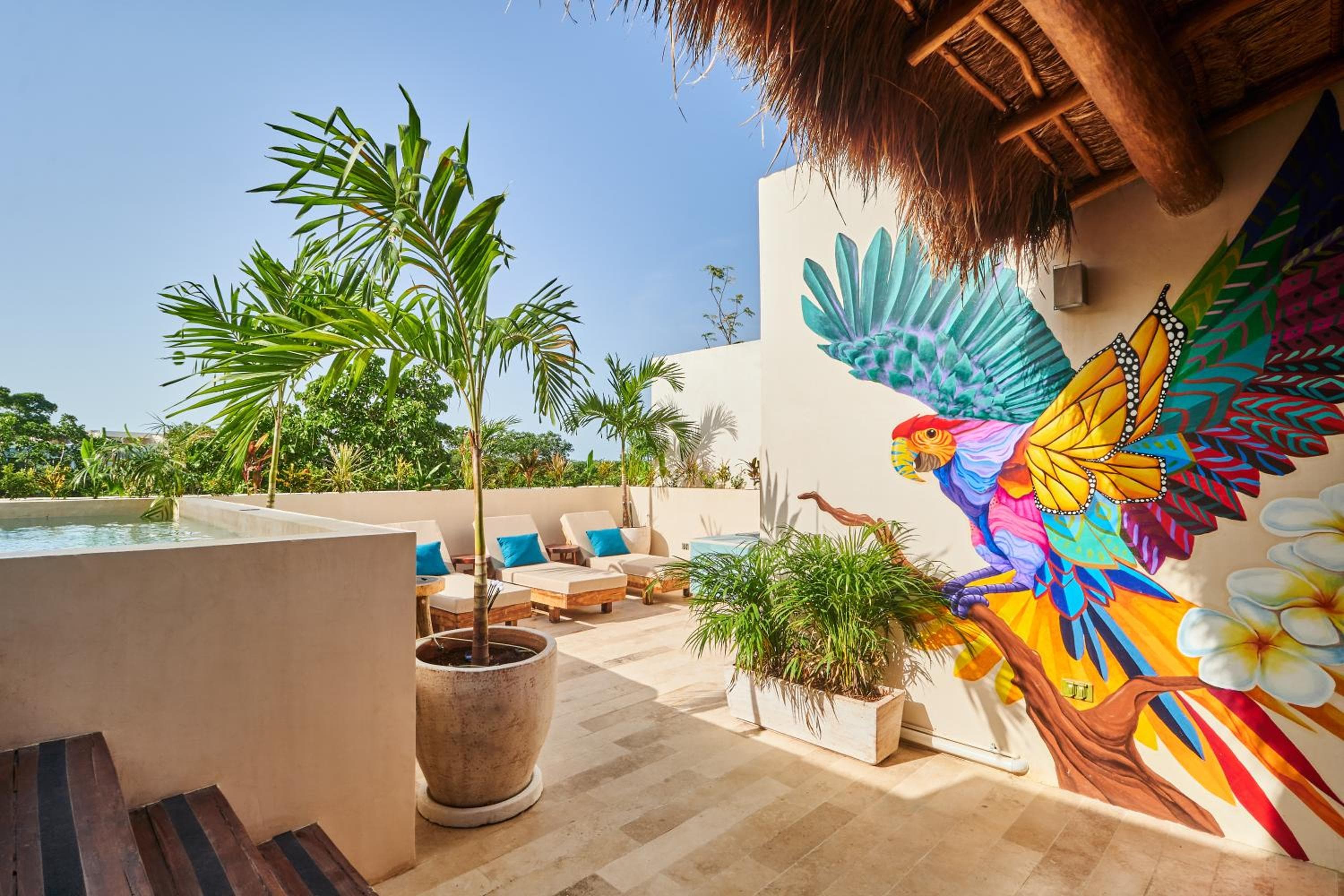 Spacious & Comfy Penthouse Oasis with Plunge Pool — 1