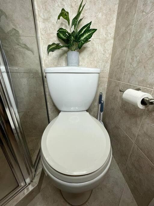 Sleeps 3, Casa Tropical in Miami — 9