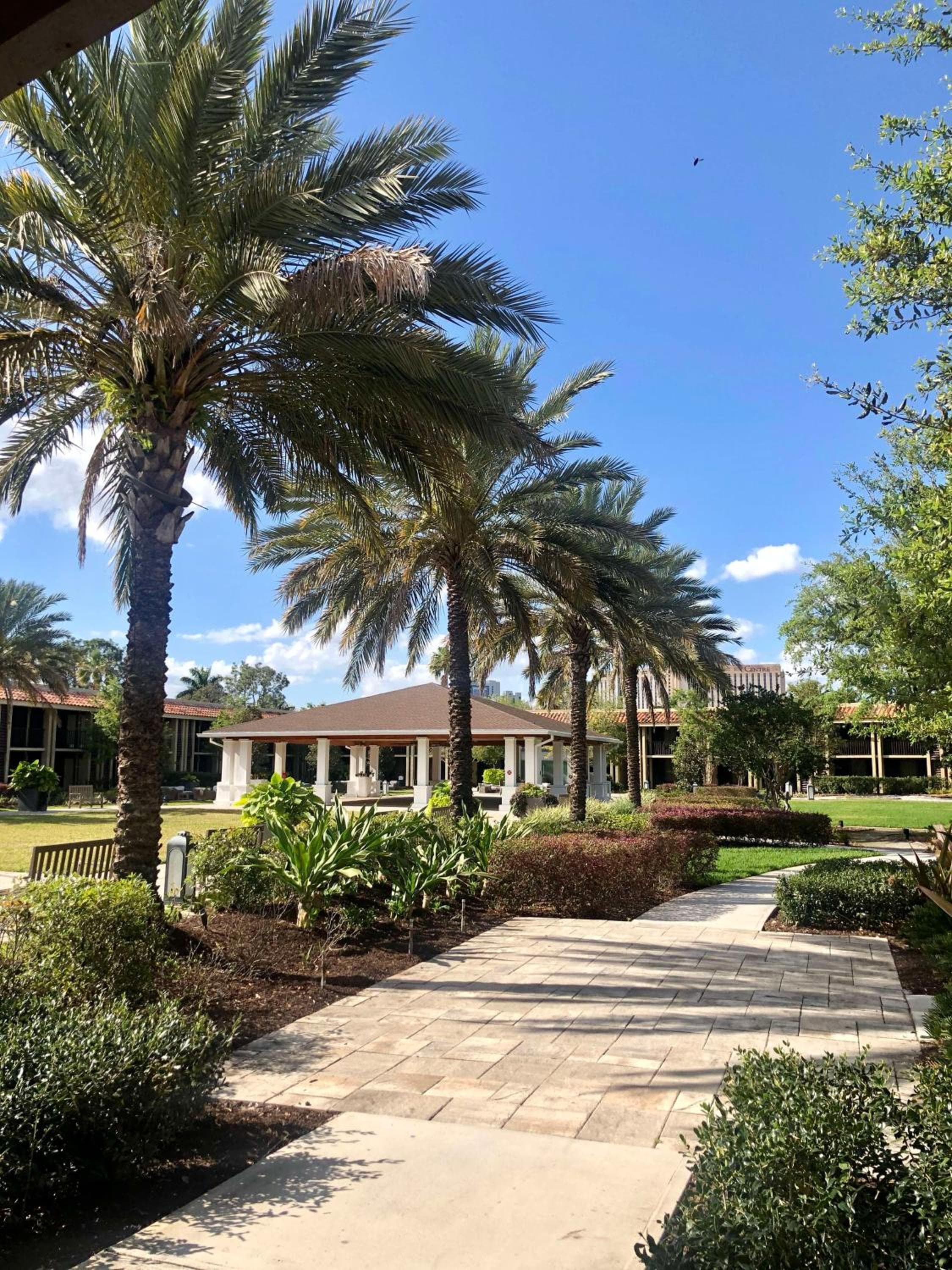 DoubleTree by Hilton Hotel Orlando en SeaWorld — 3