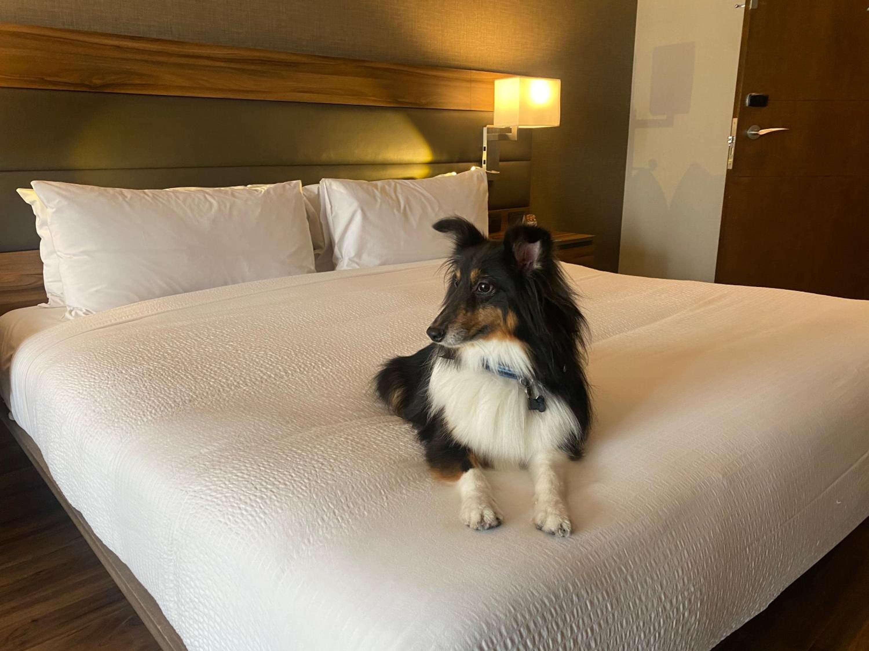 AC Hotel by Marriott Santa Fe — 3