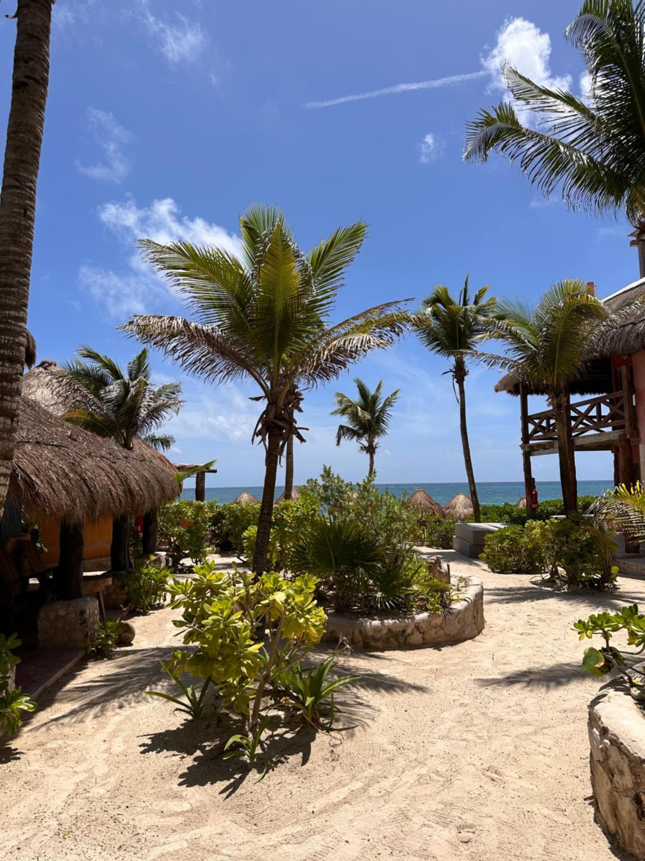 La Conchita Tulum — 12