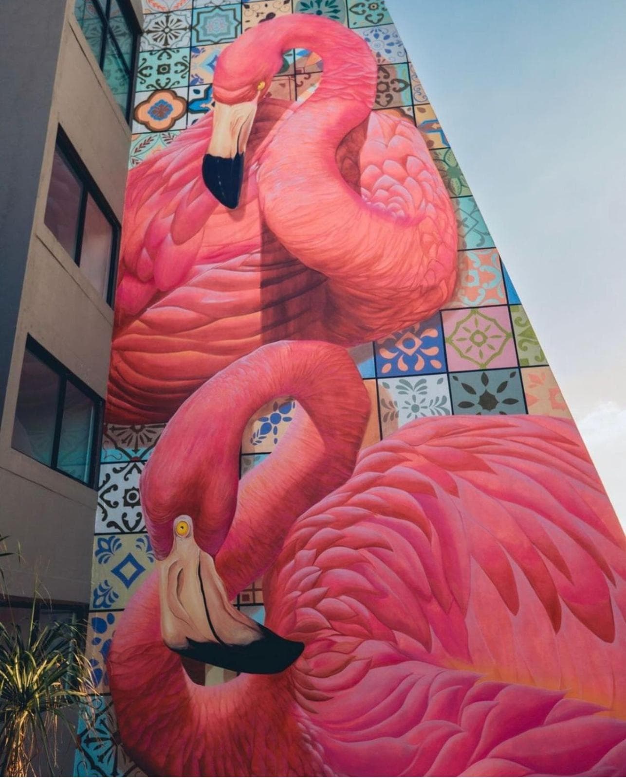 Flamingo Cancun All Inclusive — 30