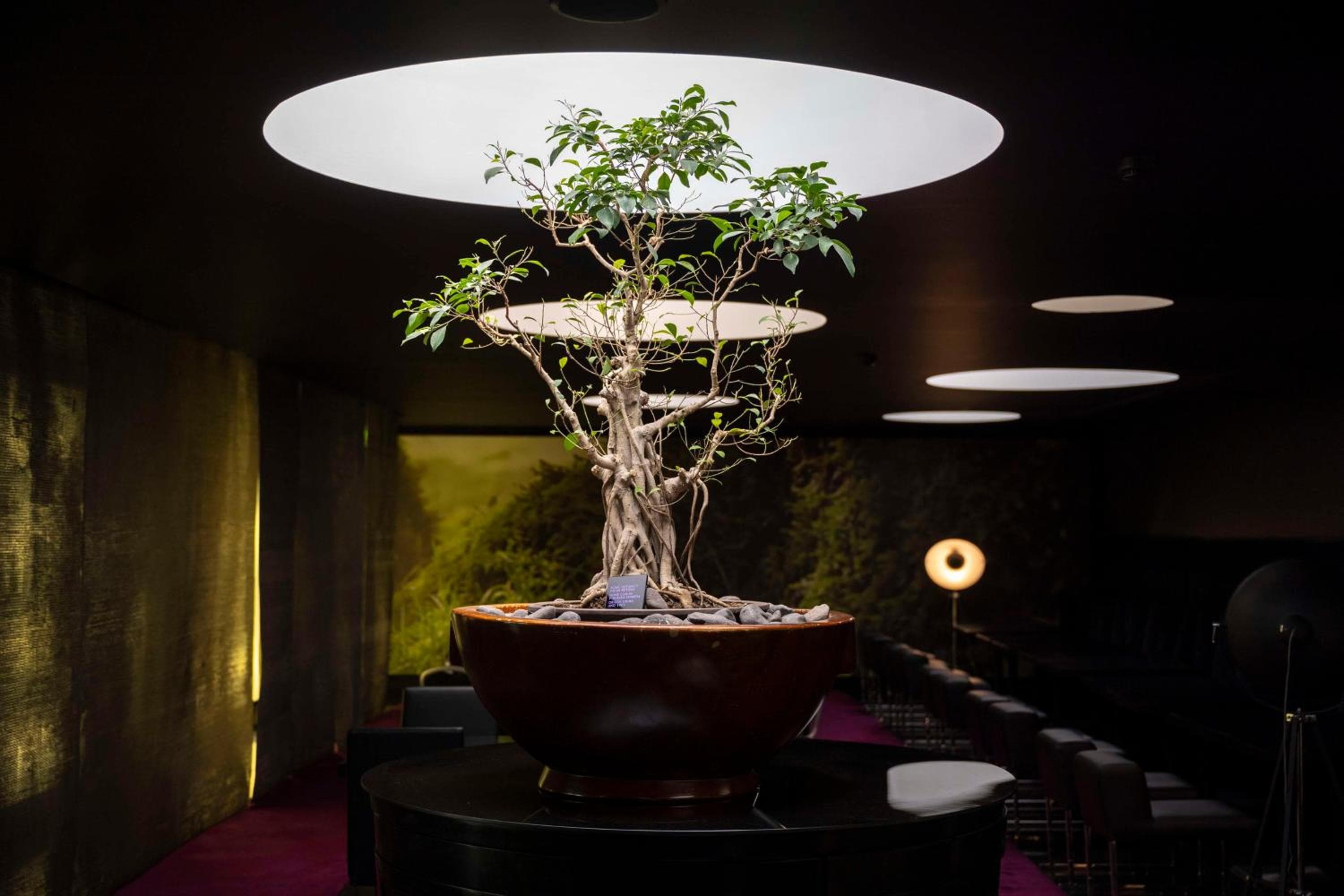 DoubleTree by Hilton Lisbon Fontana Park — 12