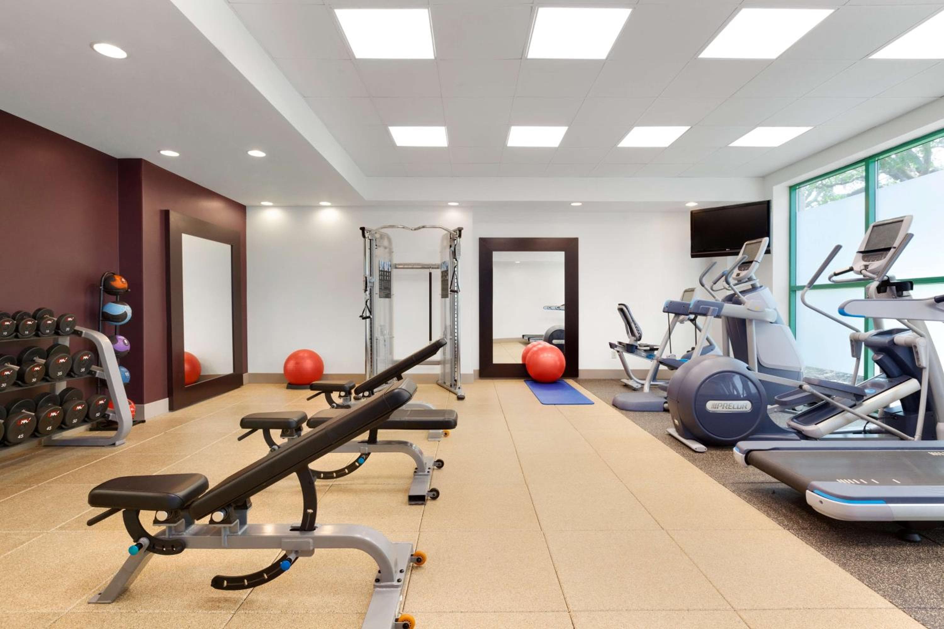 Embassy Suites by Hilton Tampa USF cerca de Busch Gardens — 13