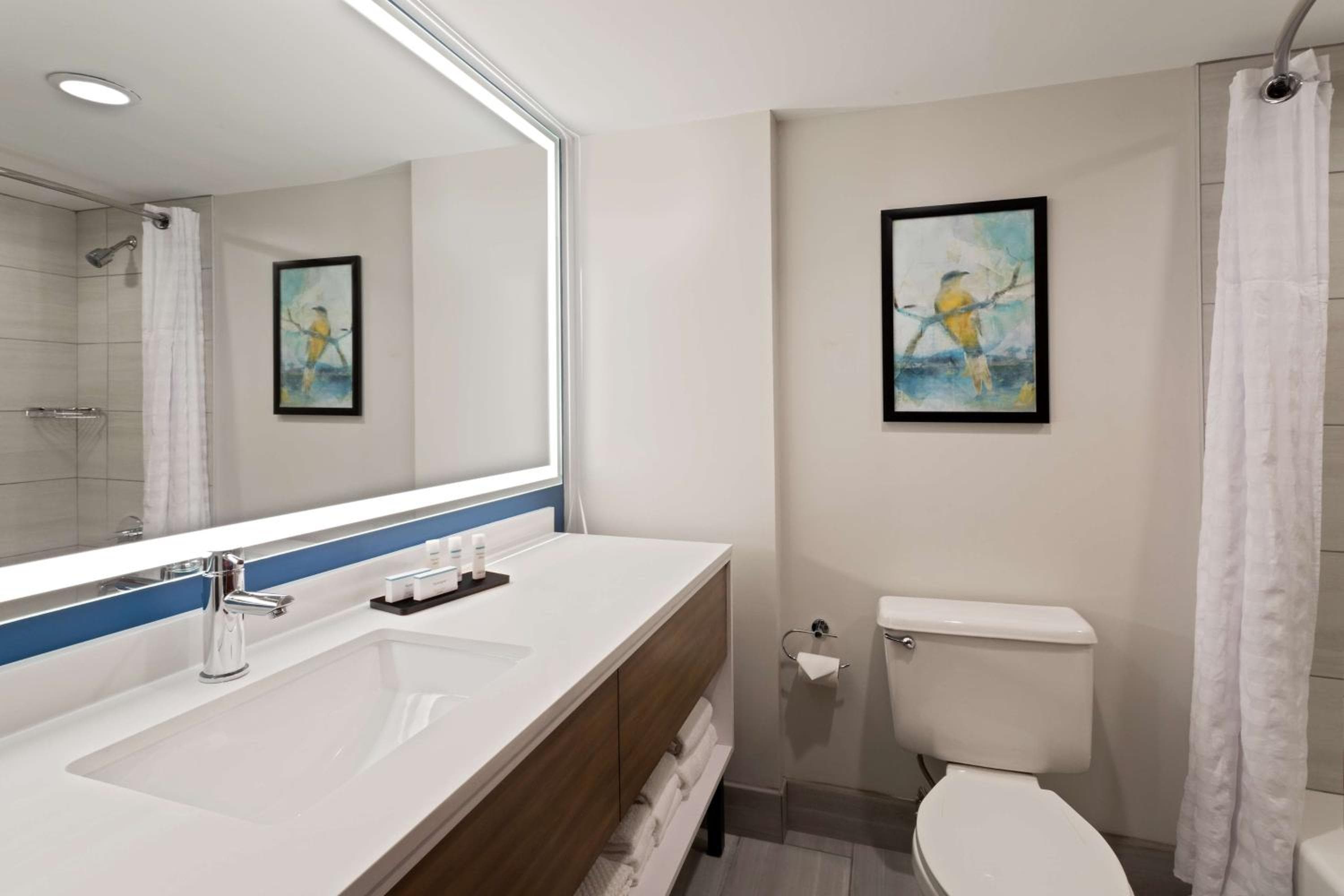 Embassy Suites by Hilton Tampa USF cerca de Busch Gardens — 16