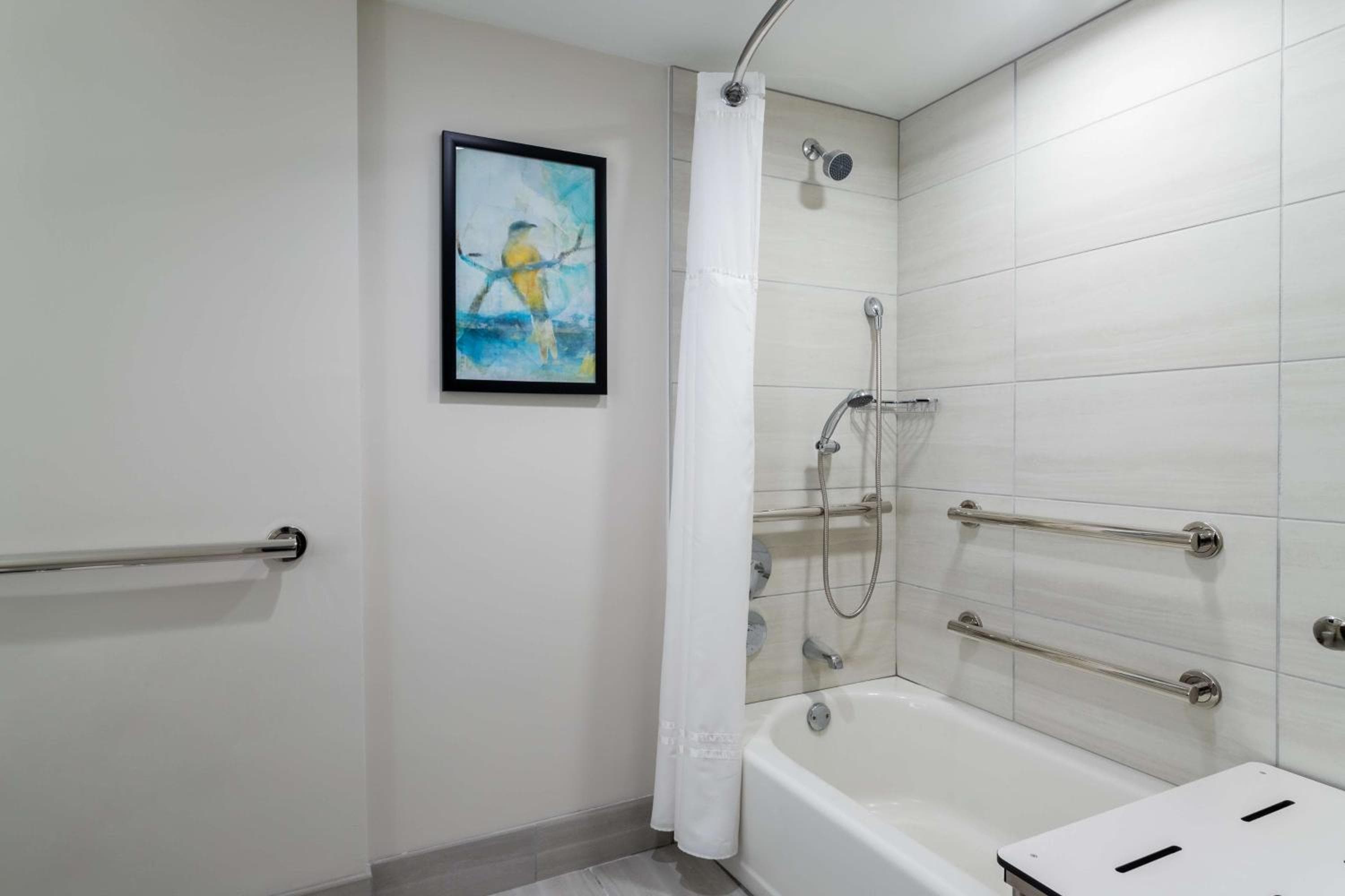 Embassy Suites by Hilton Tampa USF cerca de Busch Gardens — 18