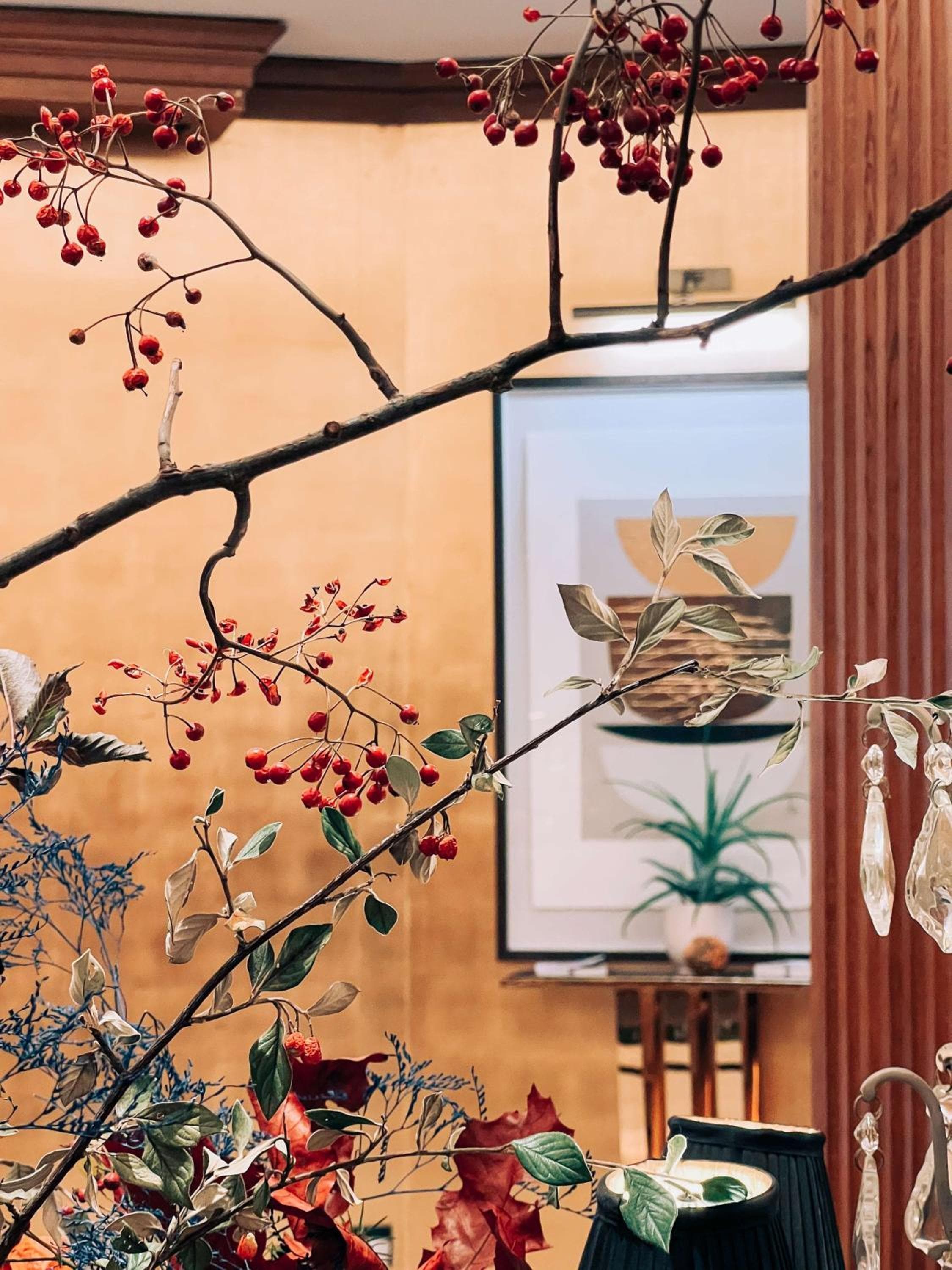 Maison Astor Parigi, Collezione Curio di Hilton — 8