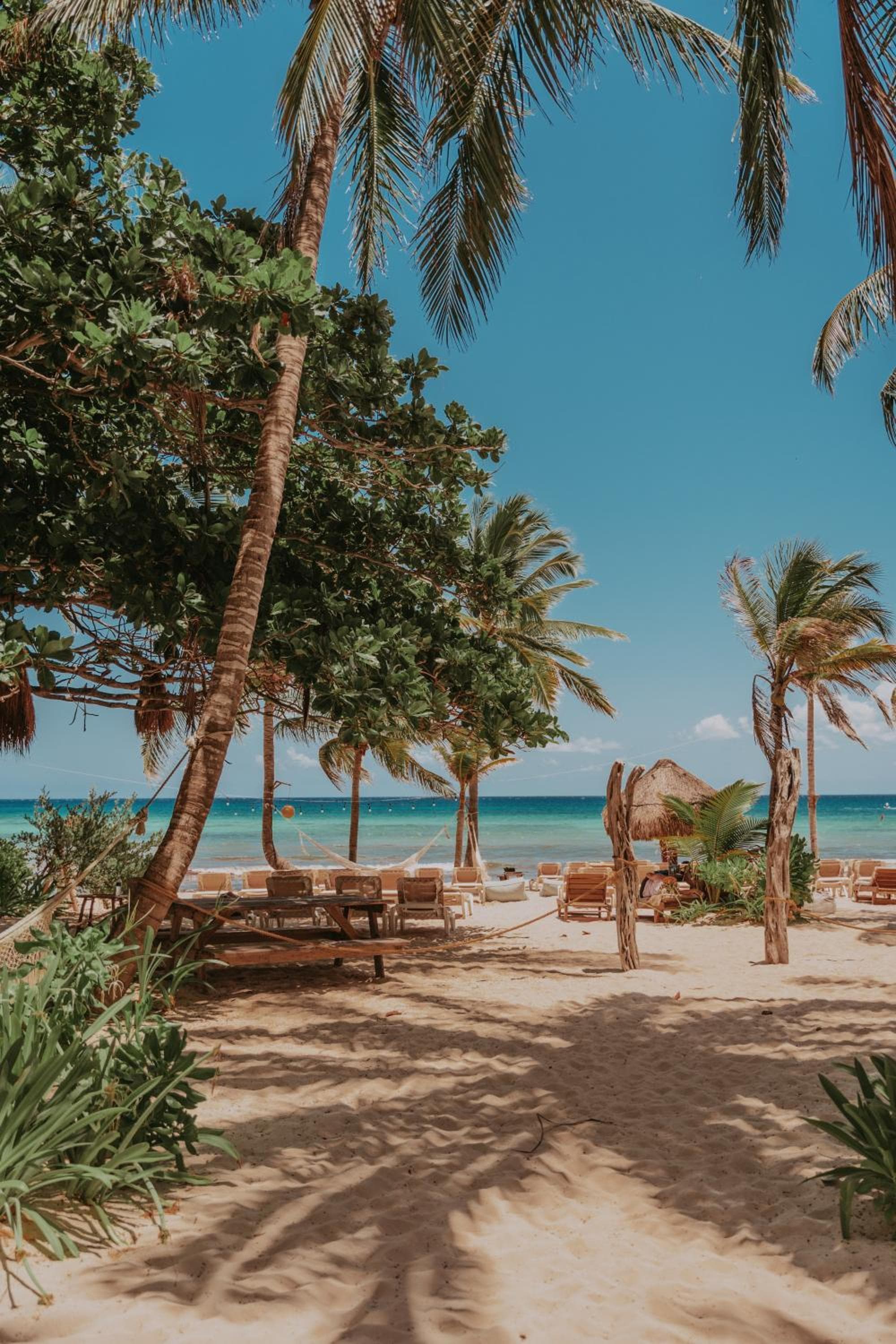 Petit Lafitte Beach Front Hotel & Bungalows — 12