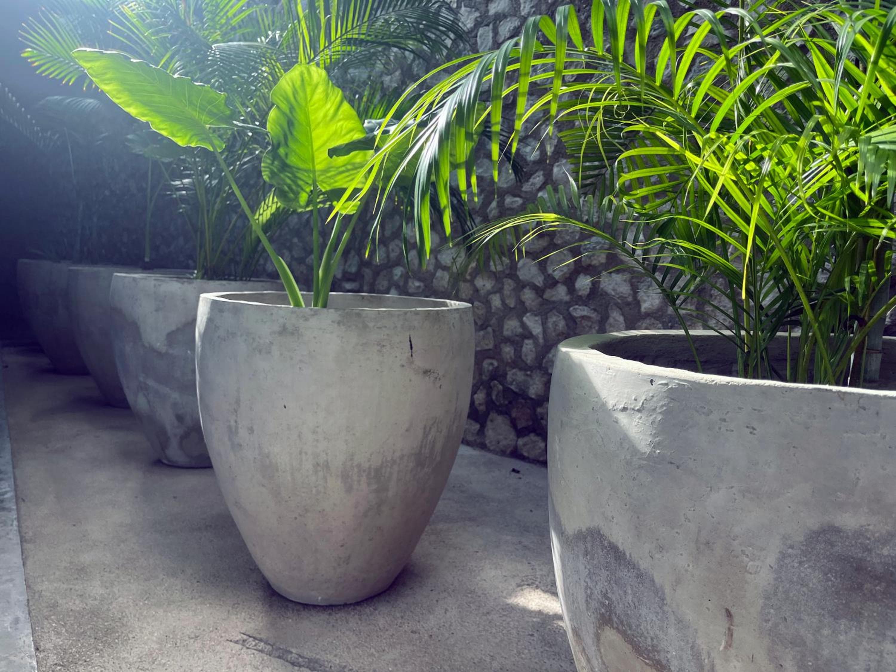 BAU Tulum — 30