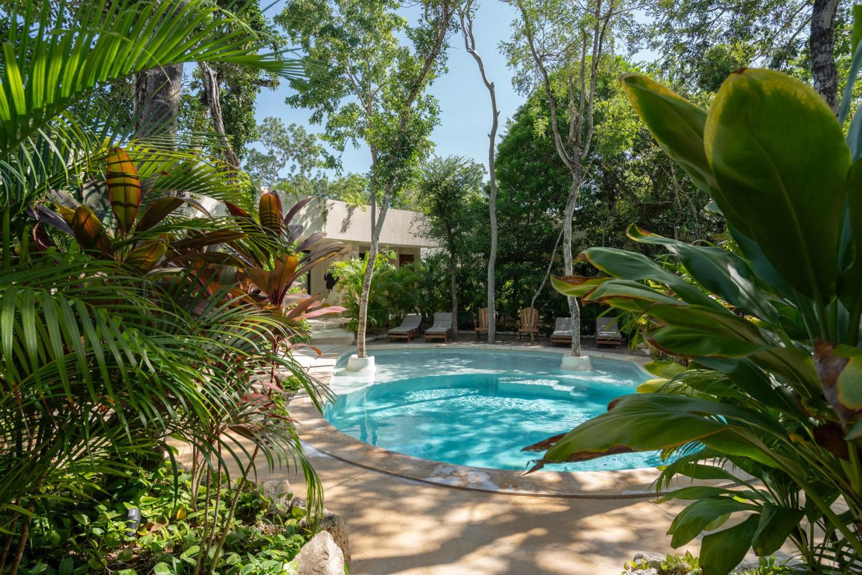 Suites en TreeTops Tulum — 2