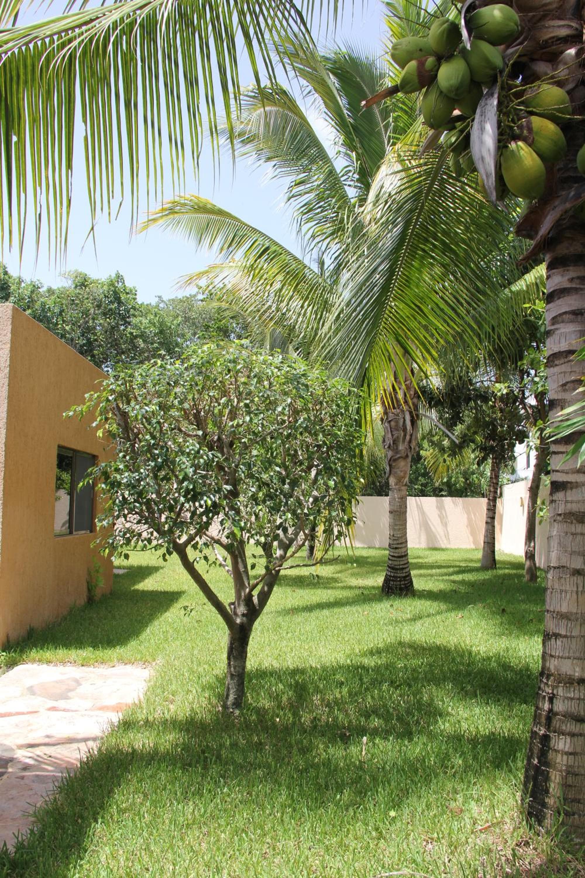 Myoli Wellness & Happiness BnB — 23