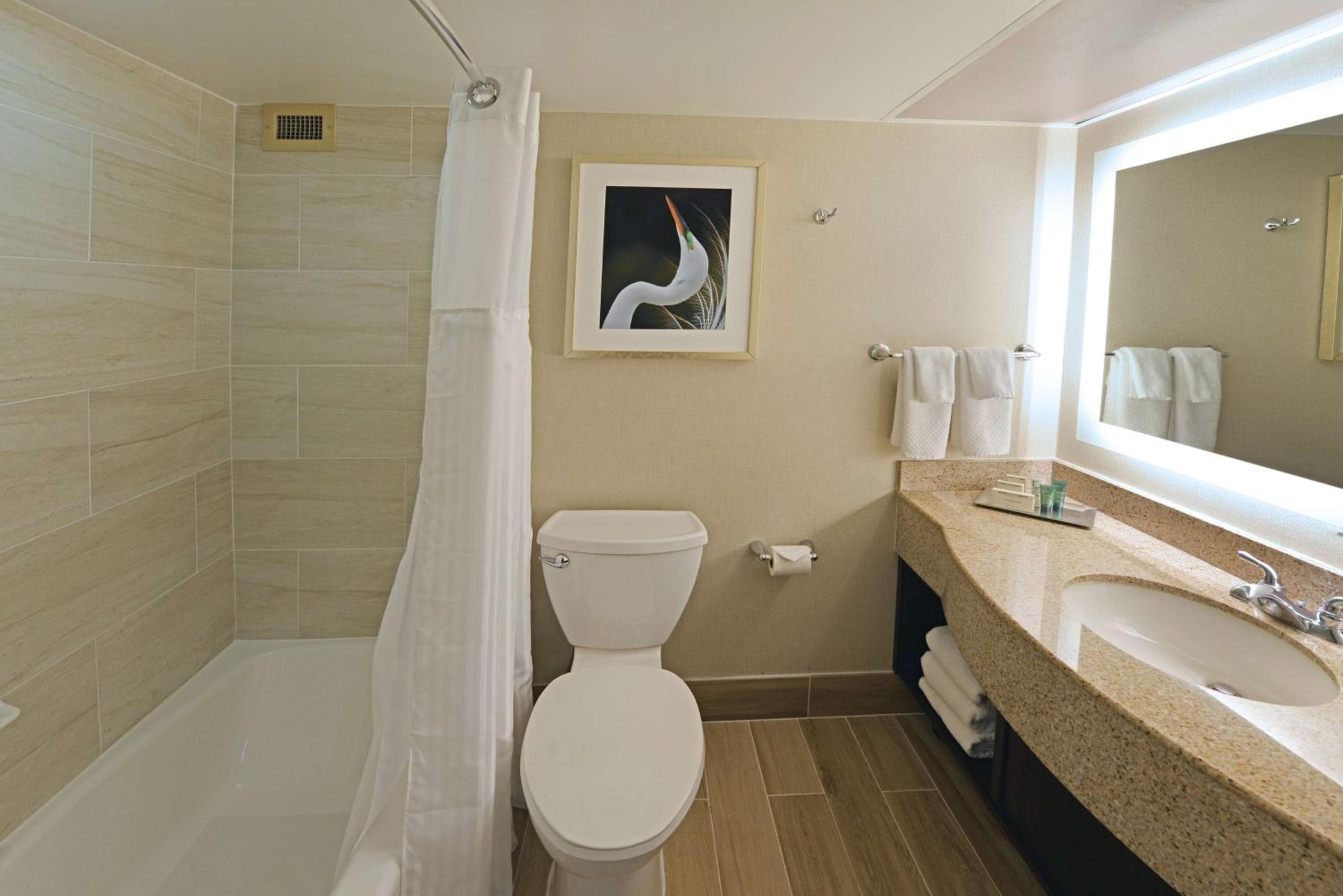 Hilton Orlando/Altamonte Springs — 19