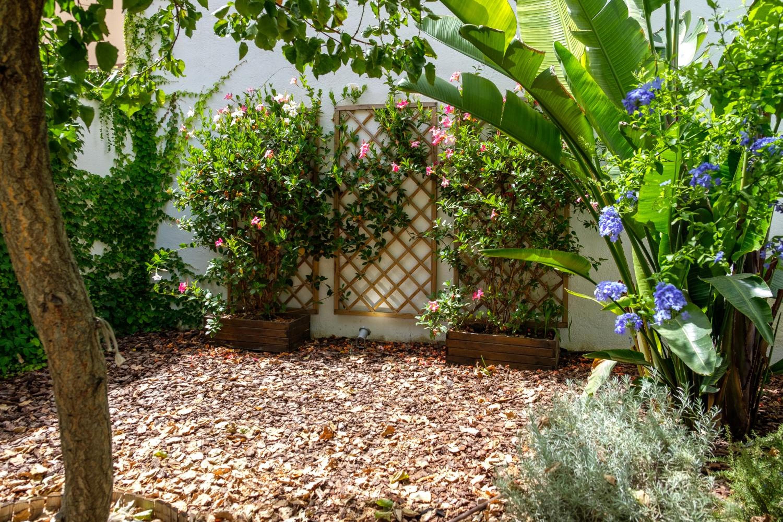 Bonita Casa Sa Font en Santa Catalina, Palma Centro — 22