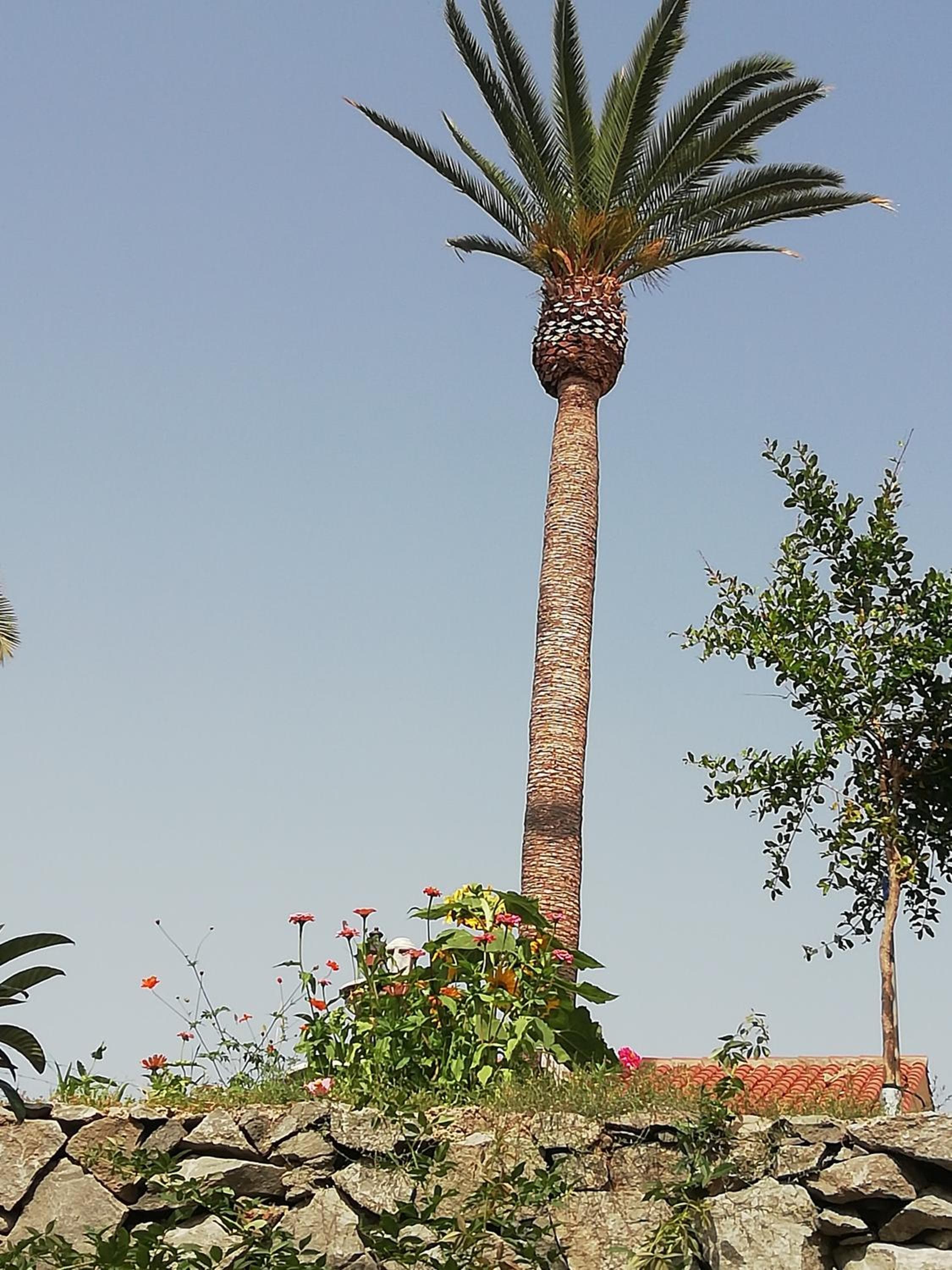 Finca Las Tapias, Casa Papín — 4