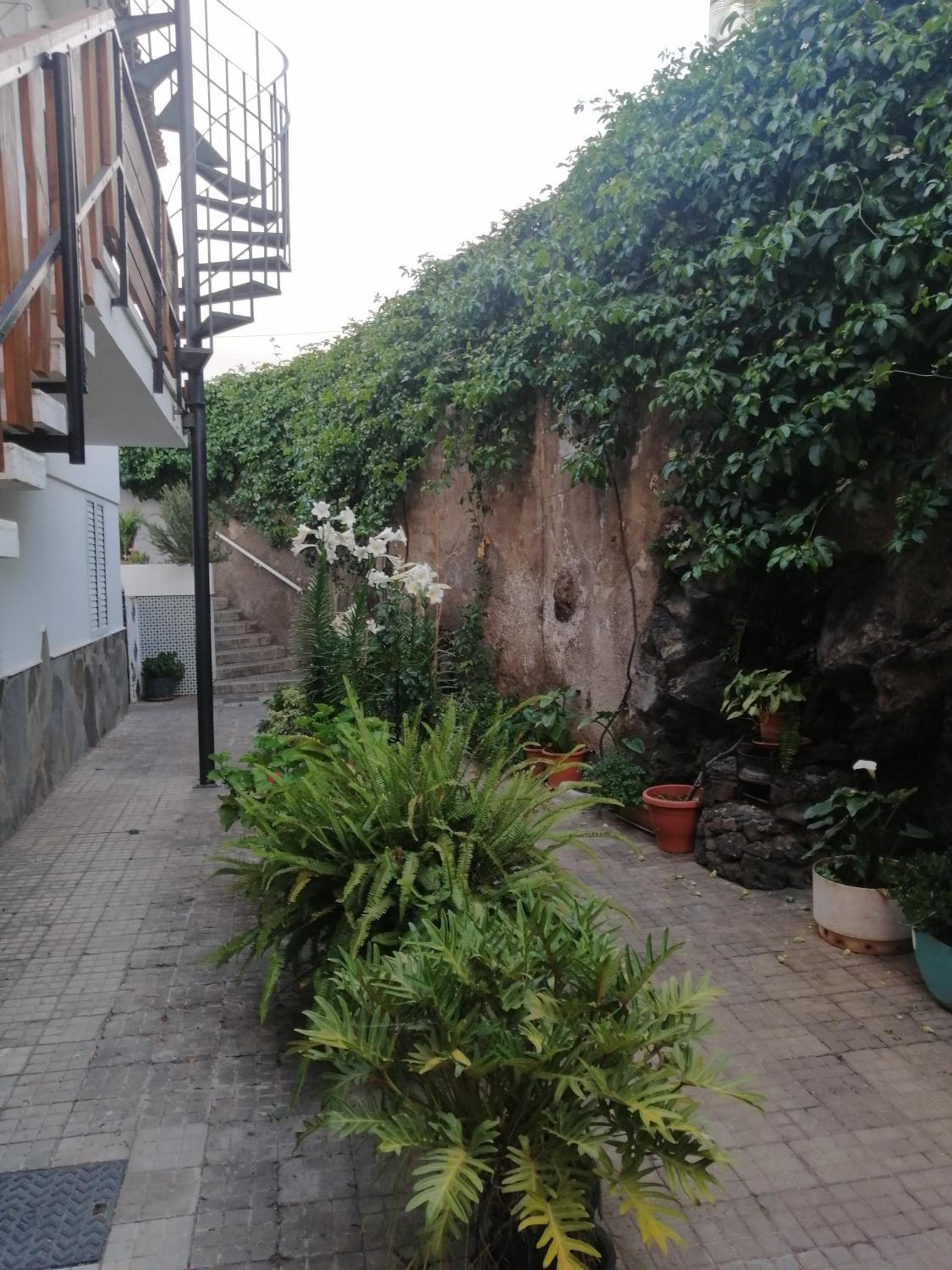 Puerto de la Cruz - Sun House - Holidays - Resort — 5
