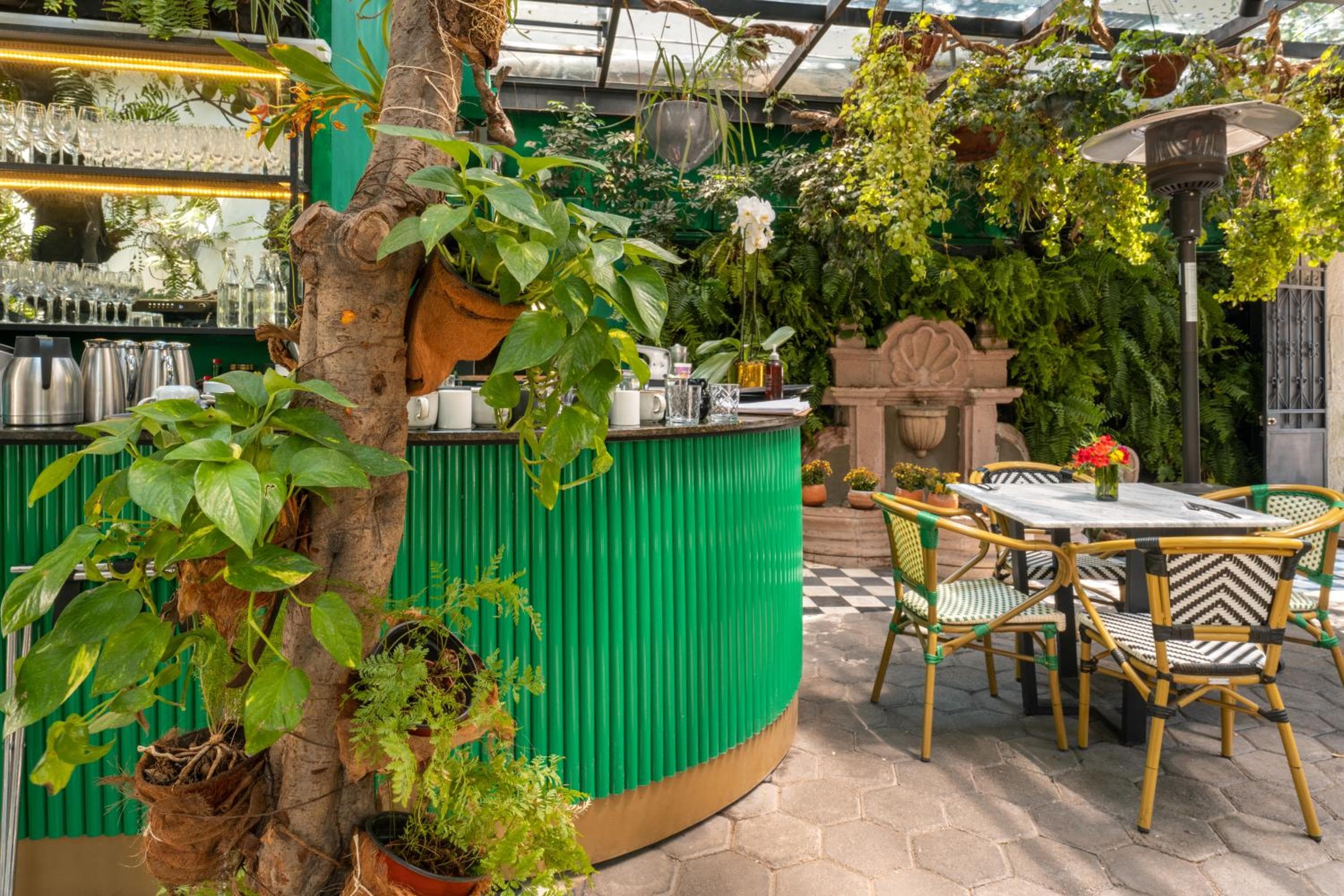 Casa delle Orchidee Polanco — 4