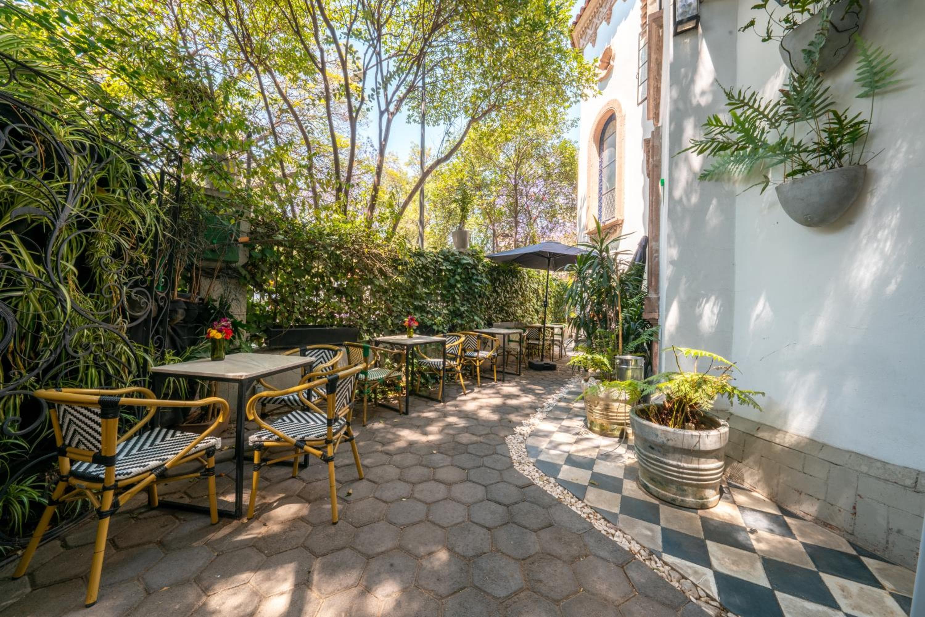 Casa delle Orchidee Polanco — 6