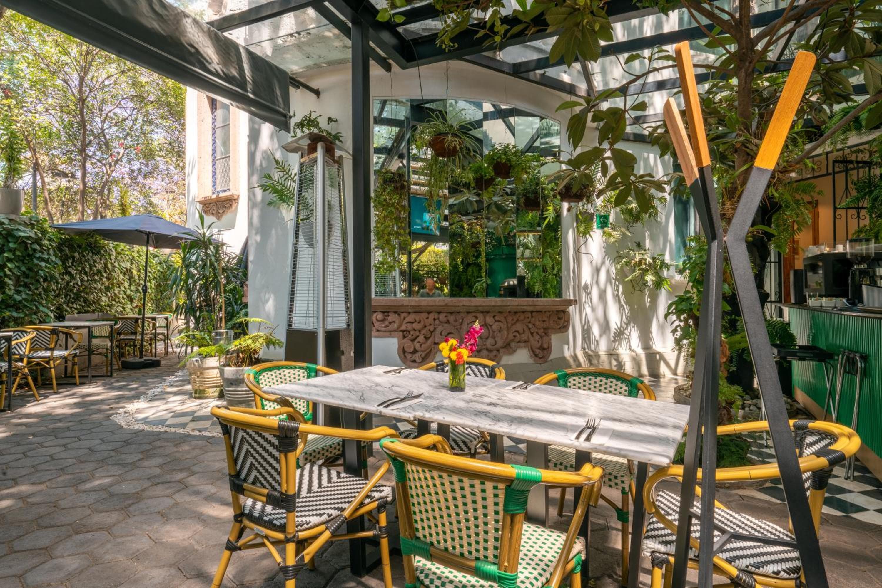 Casa delle Orchidee Polanco — 5