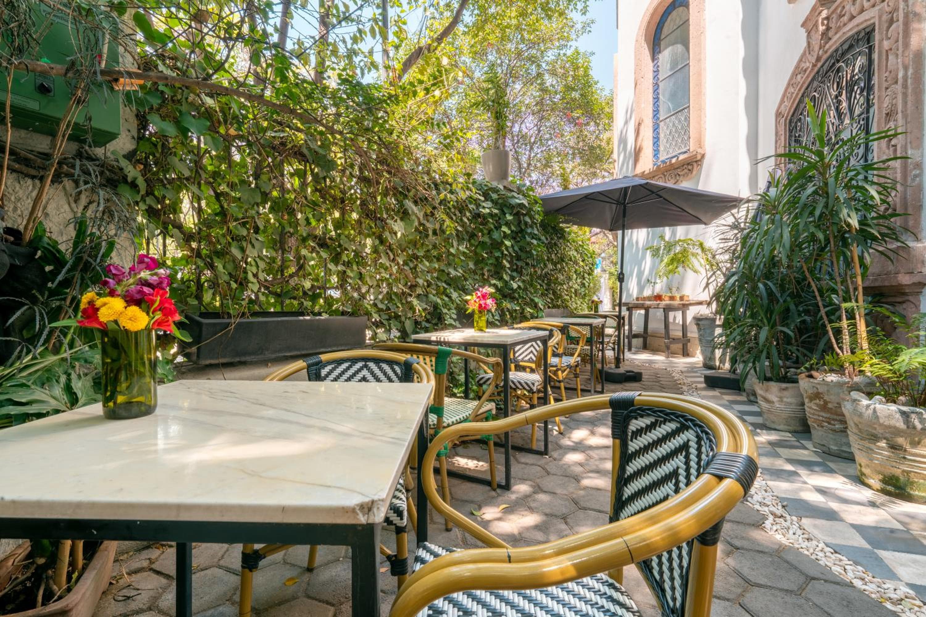 Casa delle Orchidee Polanco — 3