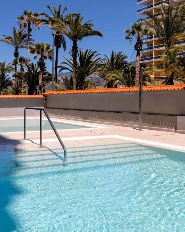 Palmera del Mar — 1