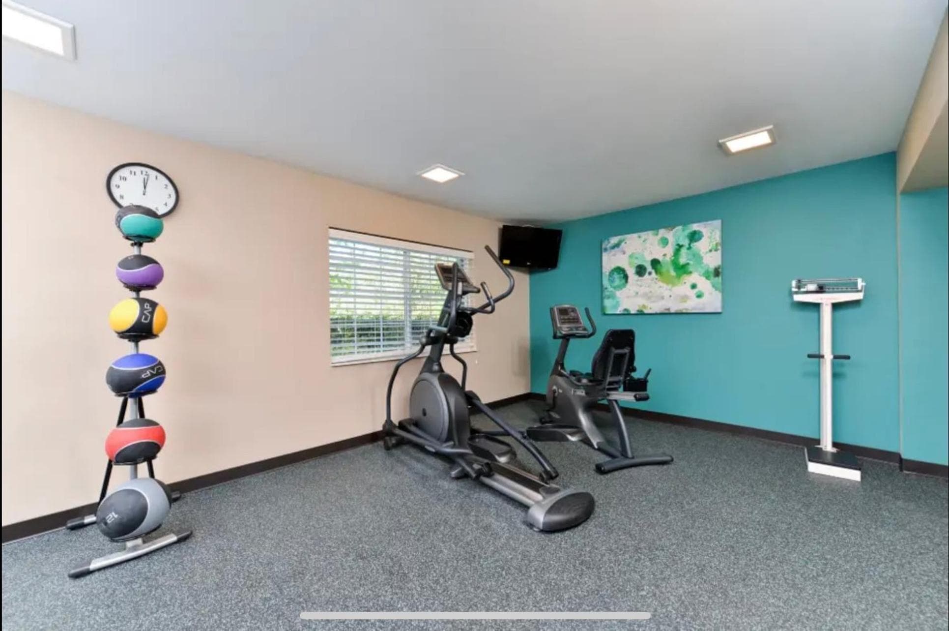 Red Roof Inn PLUS & Suites Tampa - Busch Gardens — 10
