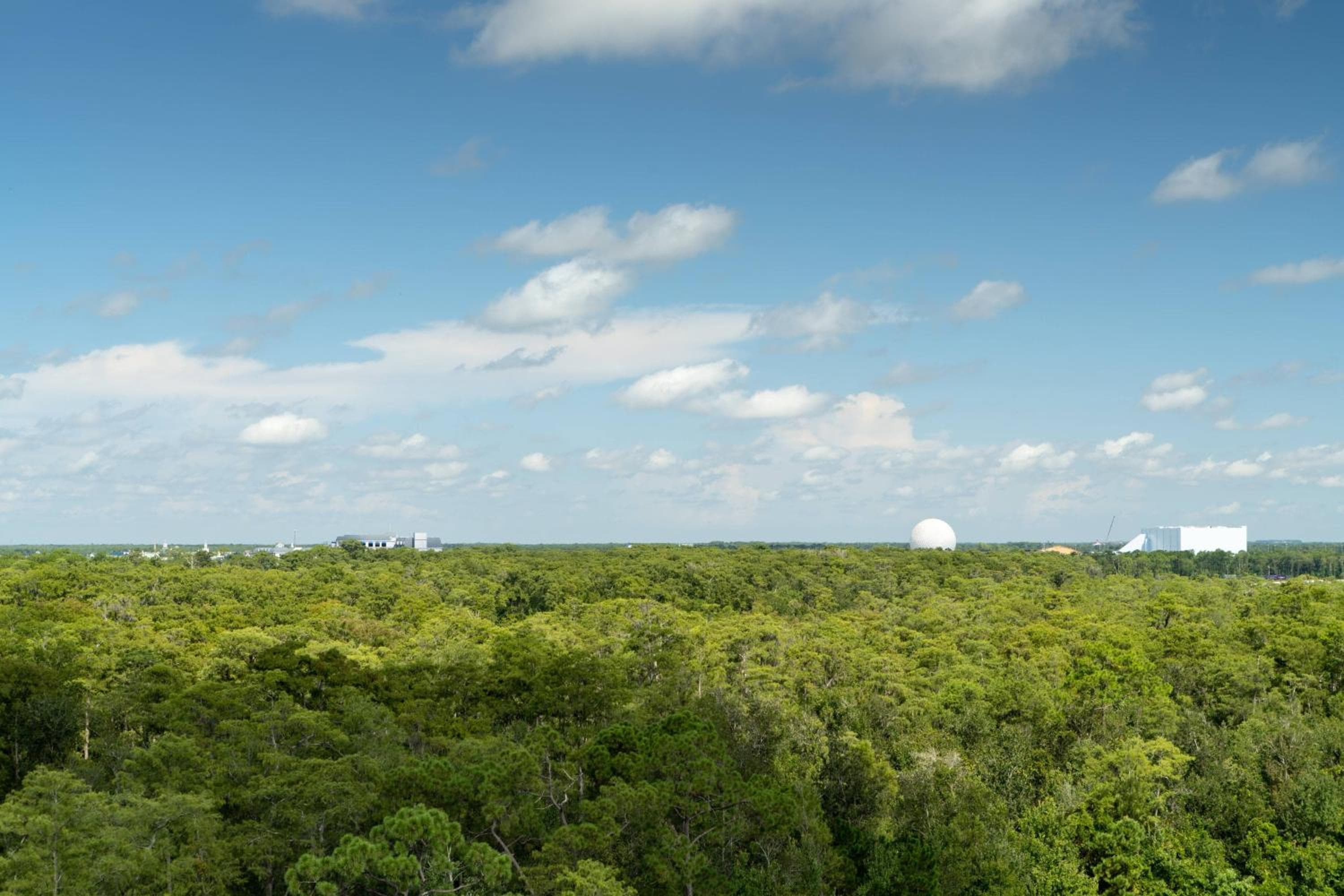 JW Marriott Orlando Bonnet Creek Resort & Spa — 17