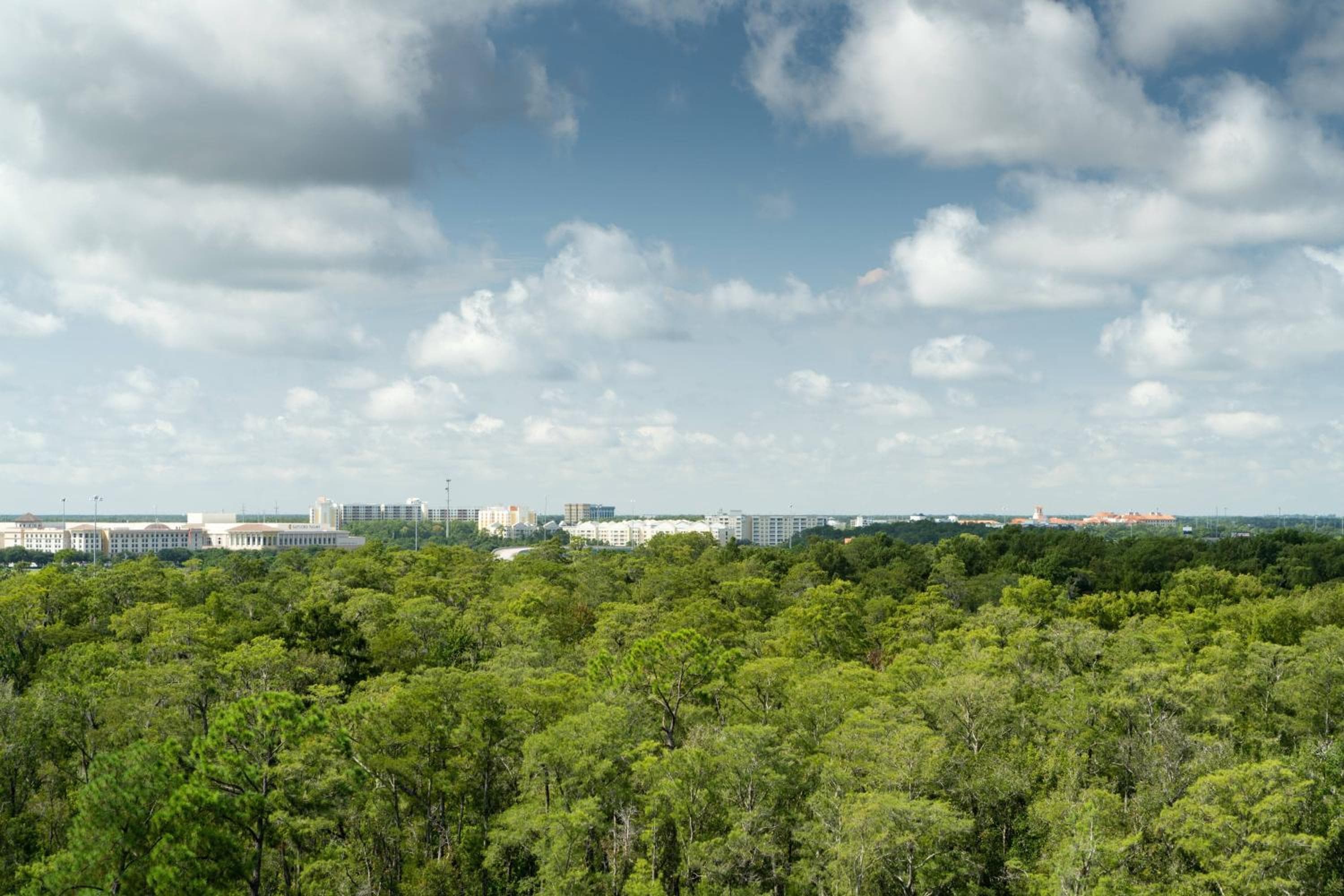 JW Marriott Orlando Bonnet Creek Resort & Spa — 15