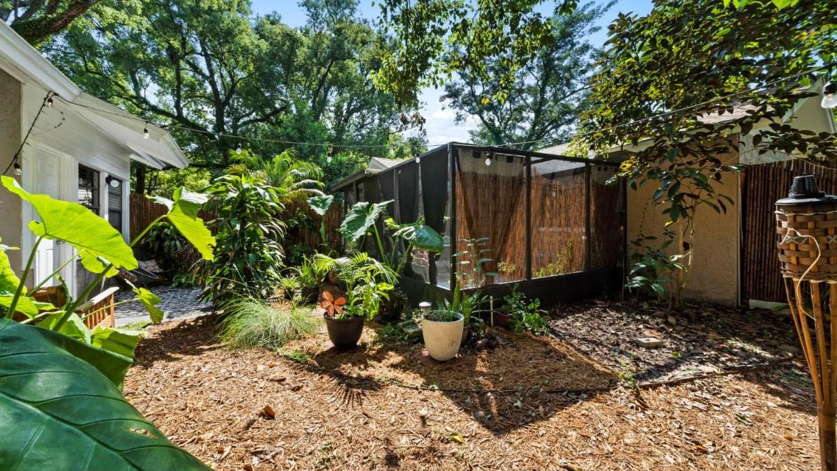 Zen Jungle House by Busch Gardens Schlafmöglichkeiten für 10 Personen mit Outdoor-Spielen und Fahrrädern! — 3