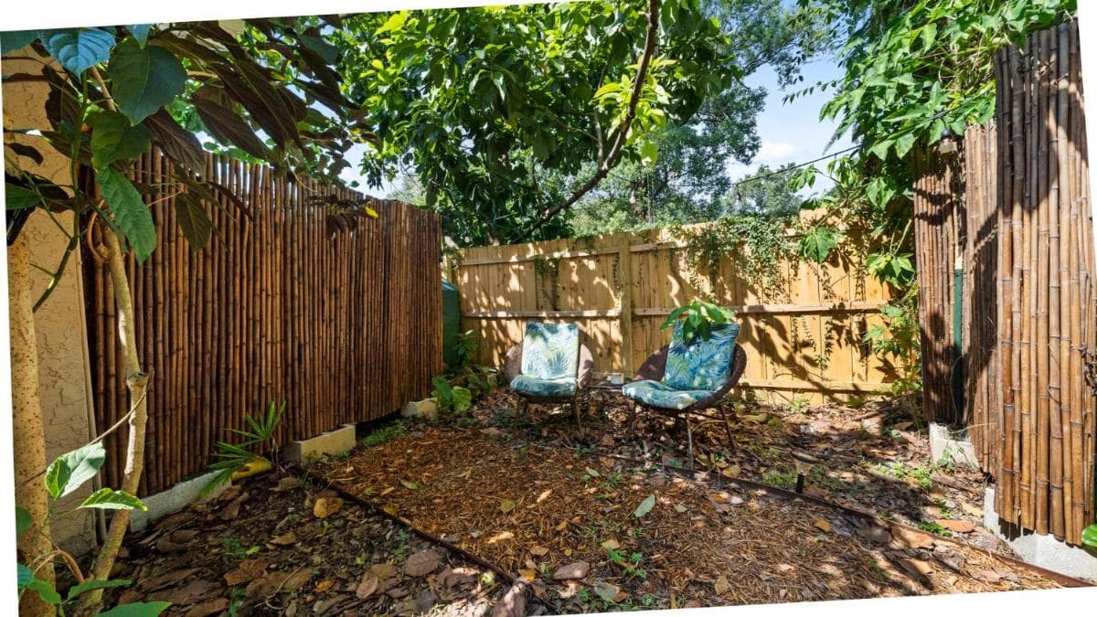 Zen Jungle House by Busch Gardens Schlafmöglichkeiten für 10 Personen mit Outdoor-Spielen und Fahrrädern! — 2