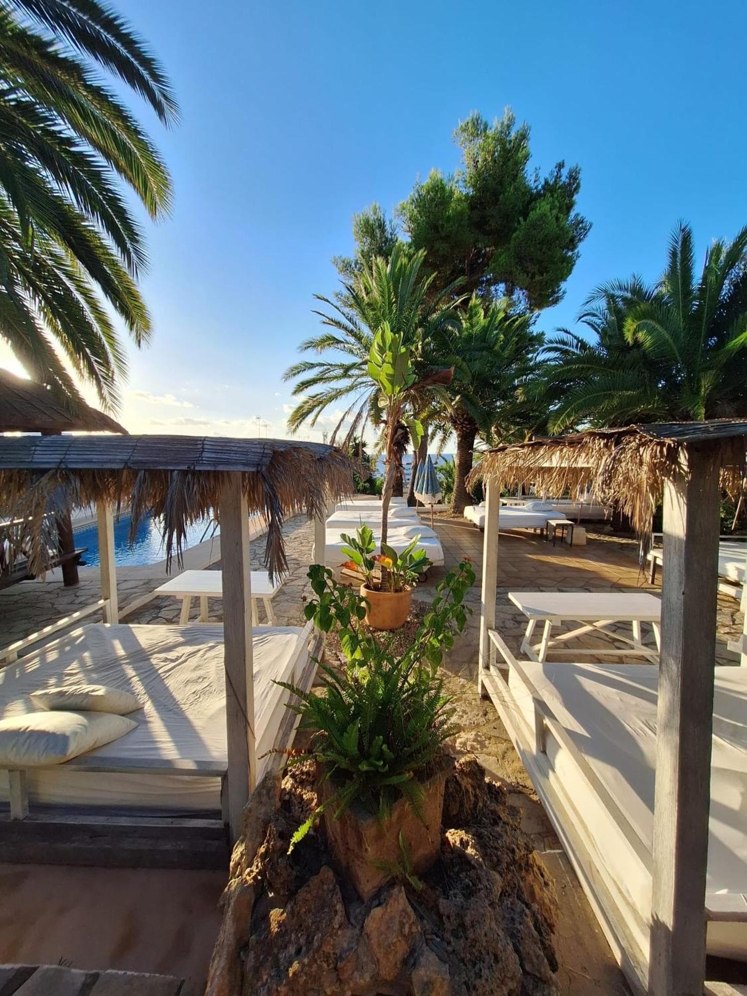 Buenavista & Suites — 21