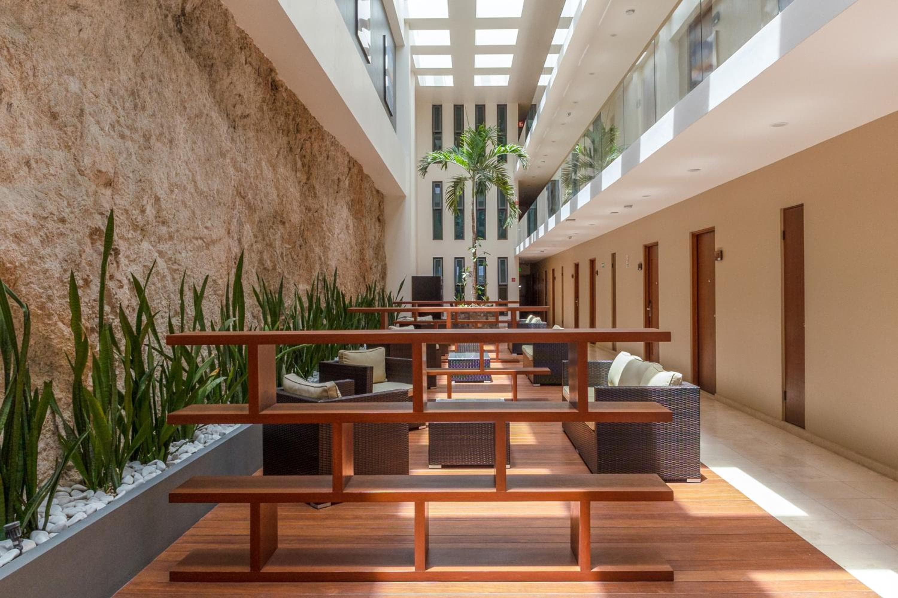 Gamma Los Cabos — 22