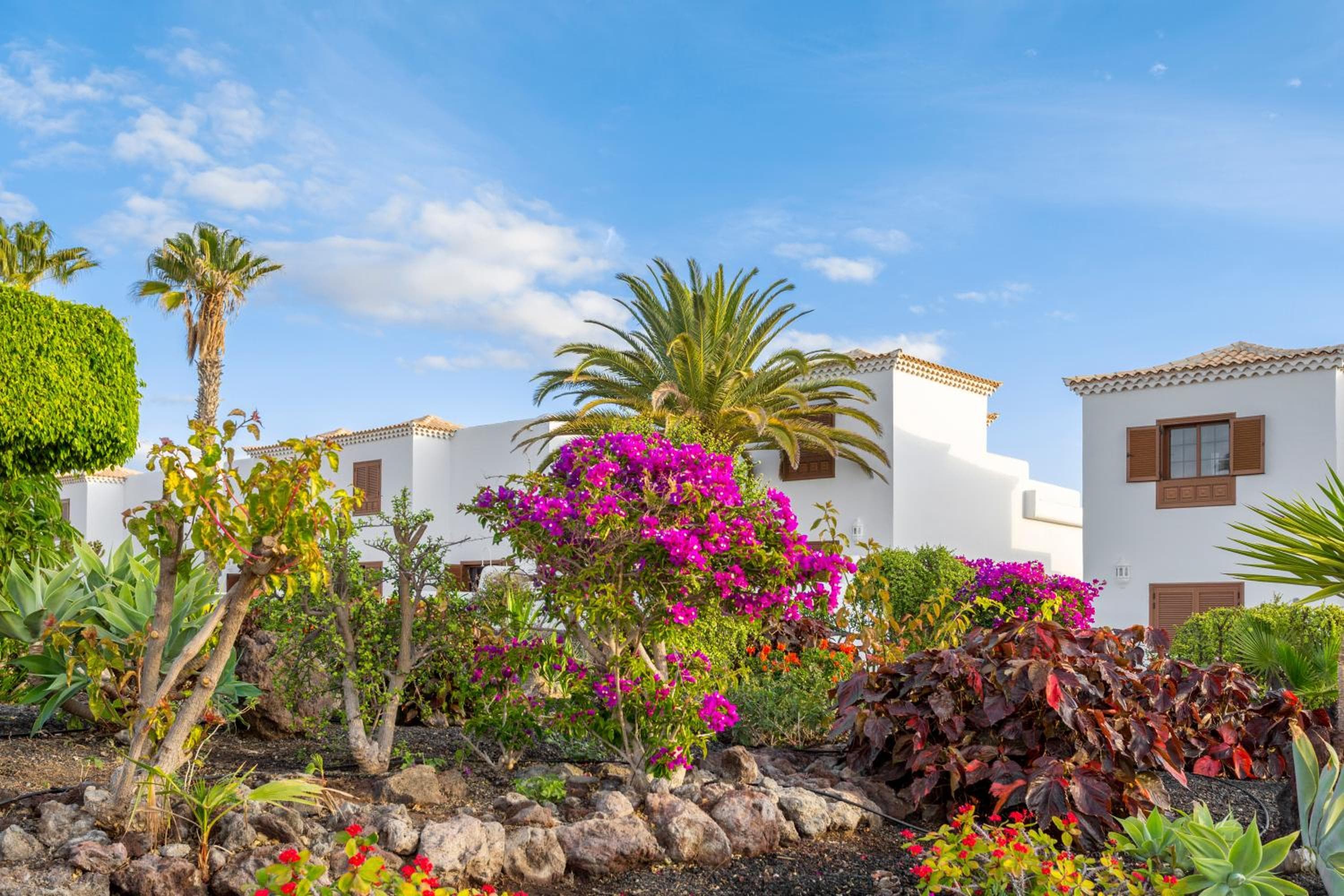 Royal Tenerife Country Club — 17