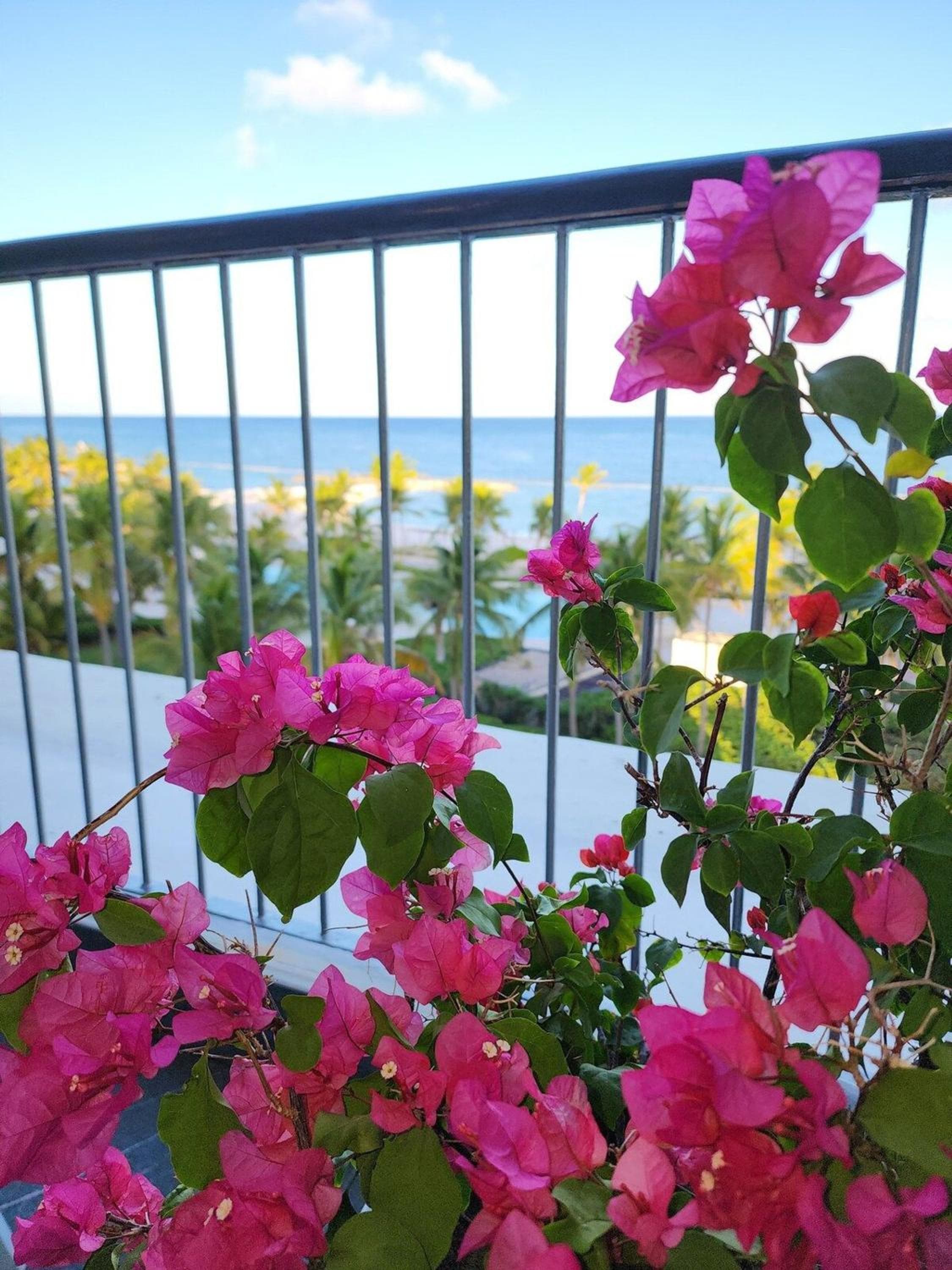 Exclusivos apartamentos con vista a la playa en Aquamarina, Cap Cana — 21