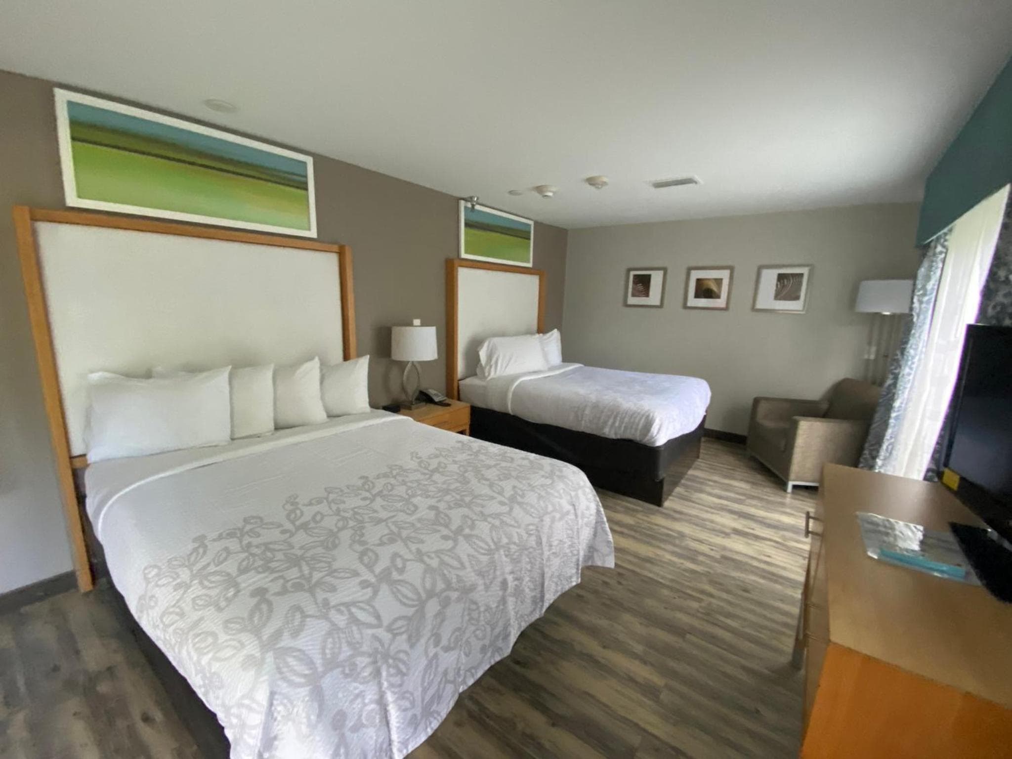 Red Roof Inn PLUS & Suites Tampa - Busch Gardens — 12