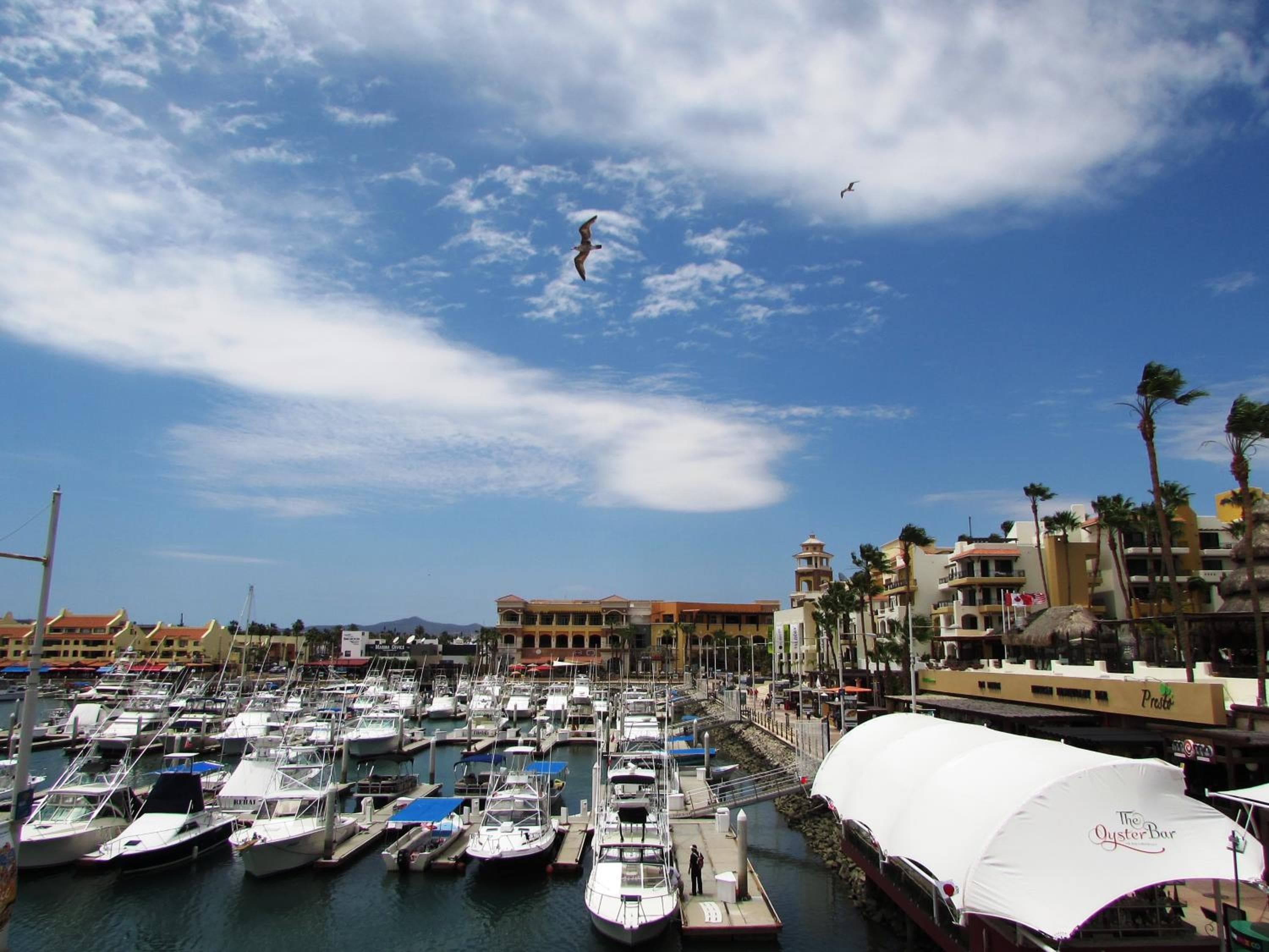 Marina Cabo Plaza Town & Beach condomini — 5